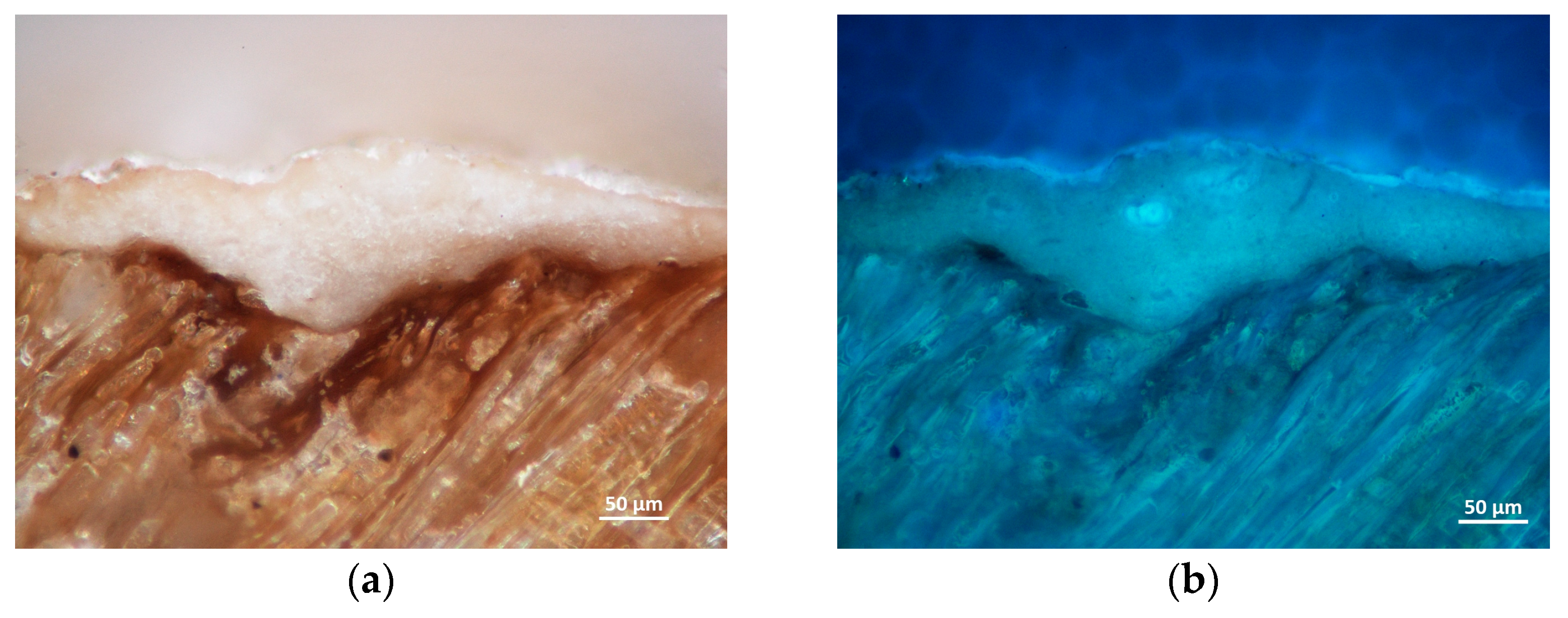 Materials 16 00331 g008a