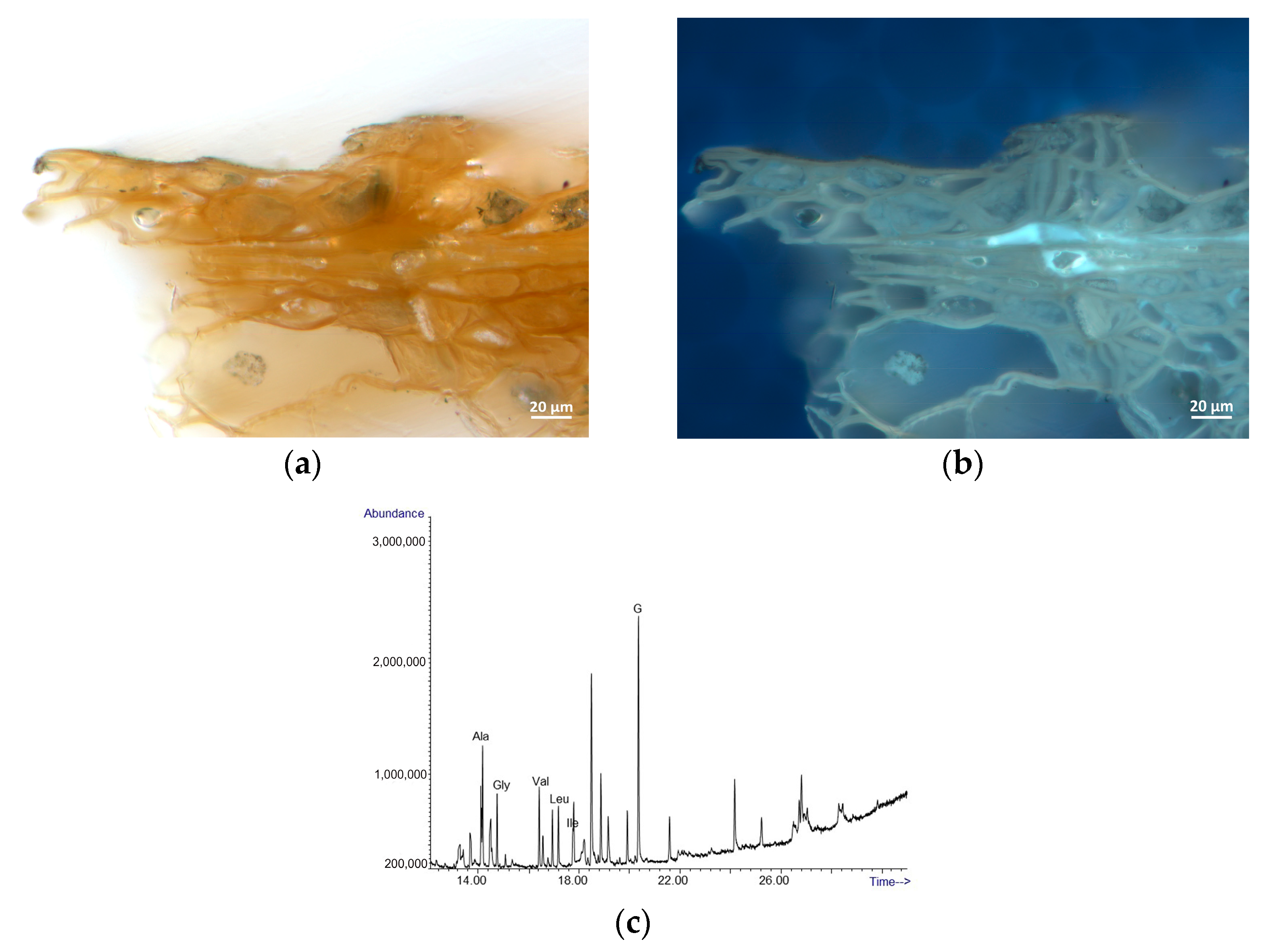 Materials 16 00331 g009