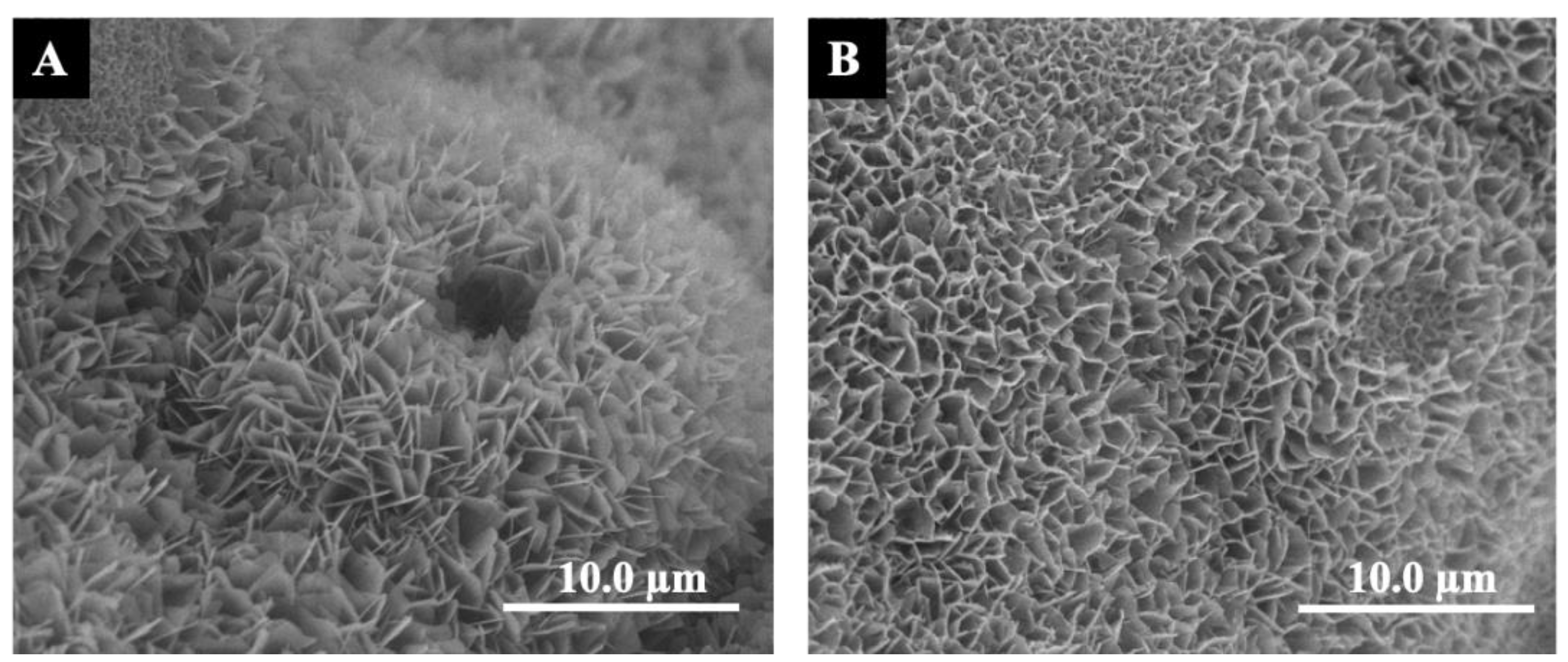 Materials 16 00332 g002