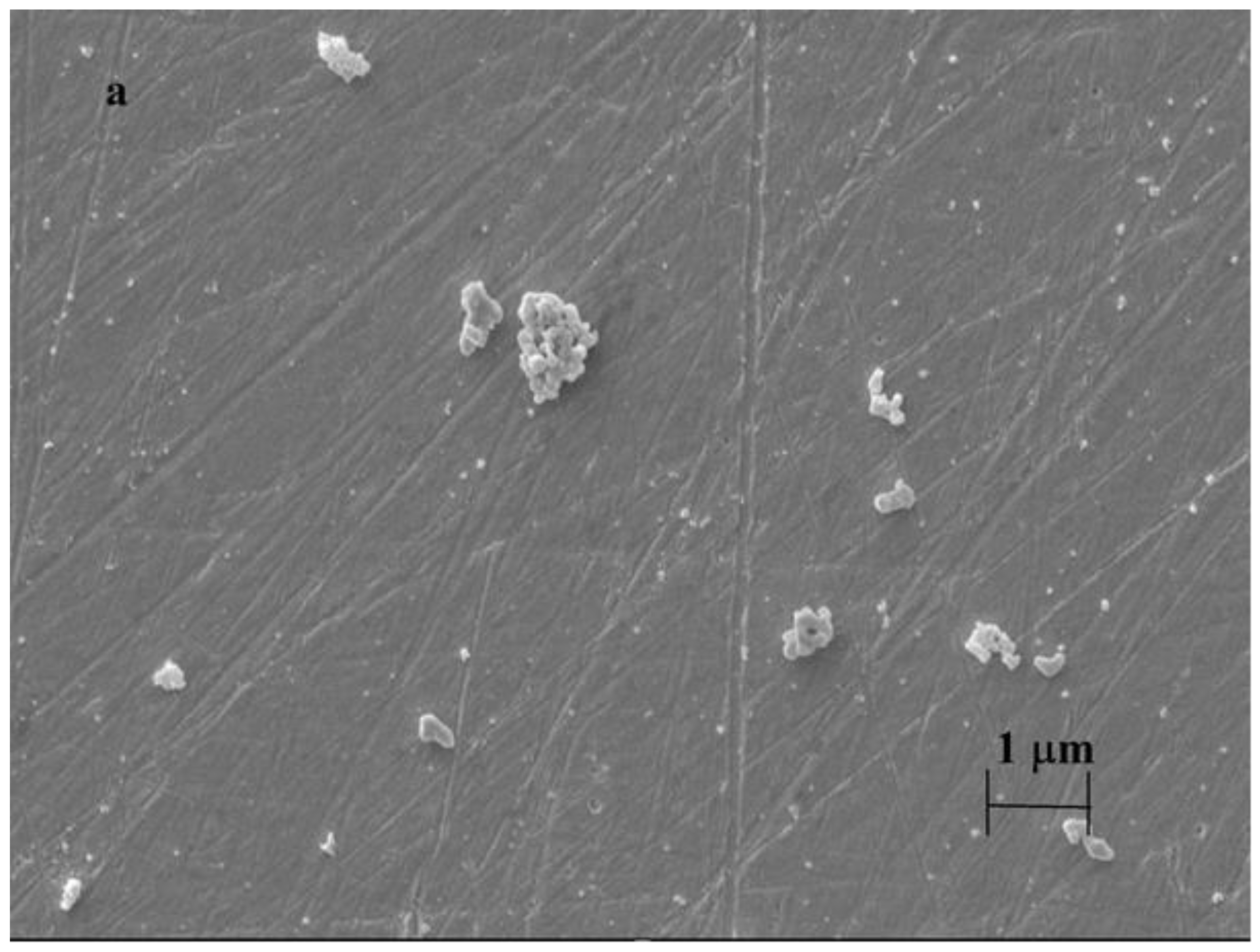 Materials 16 00357 g004a