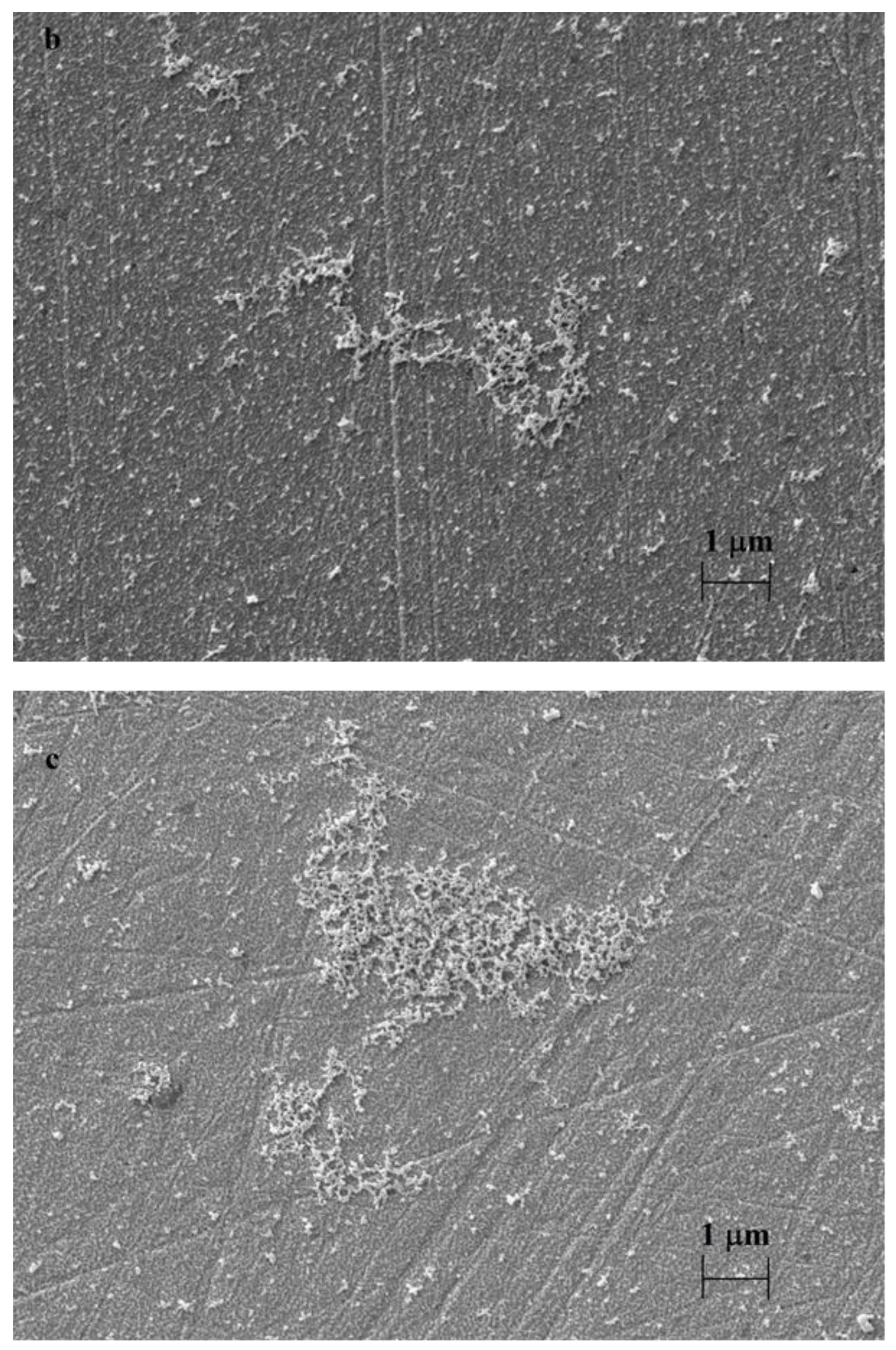 Materials 16 00357 g004b