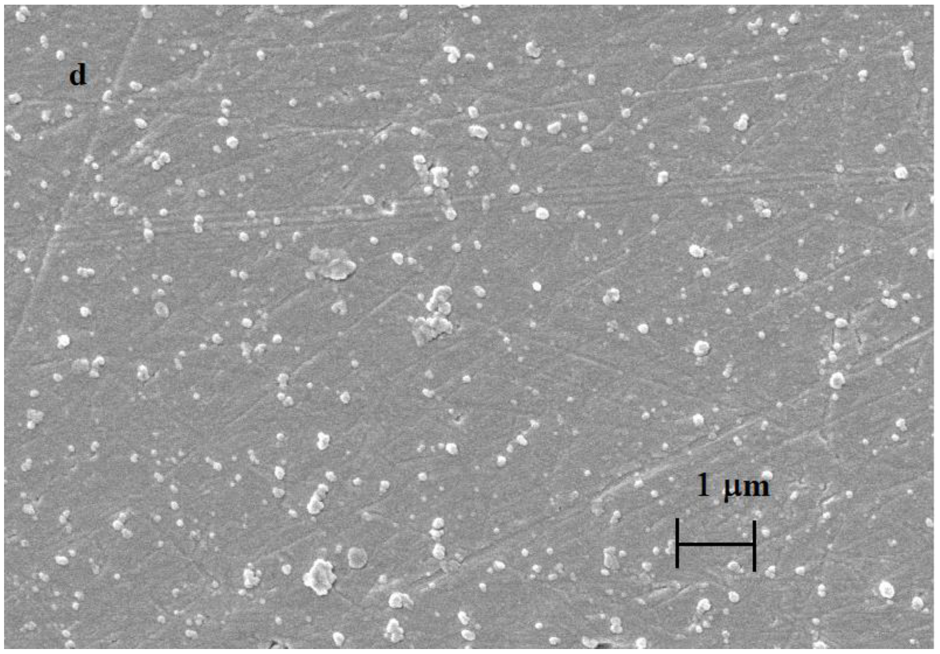 Materials 16 00357 g004c