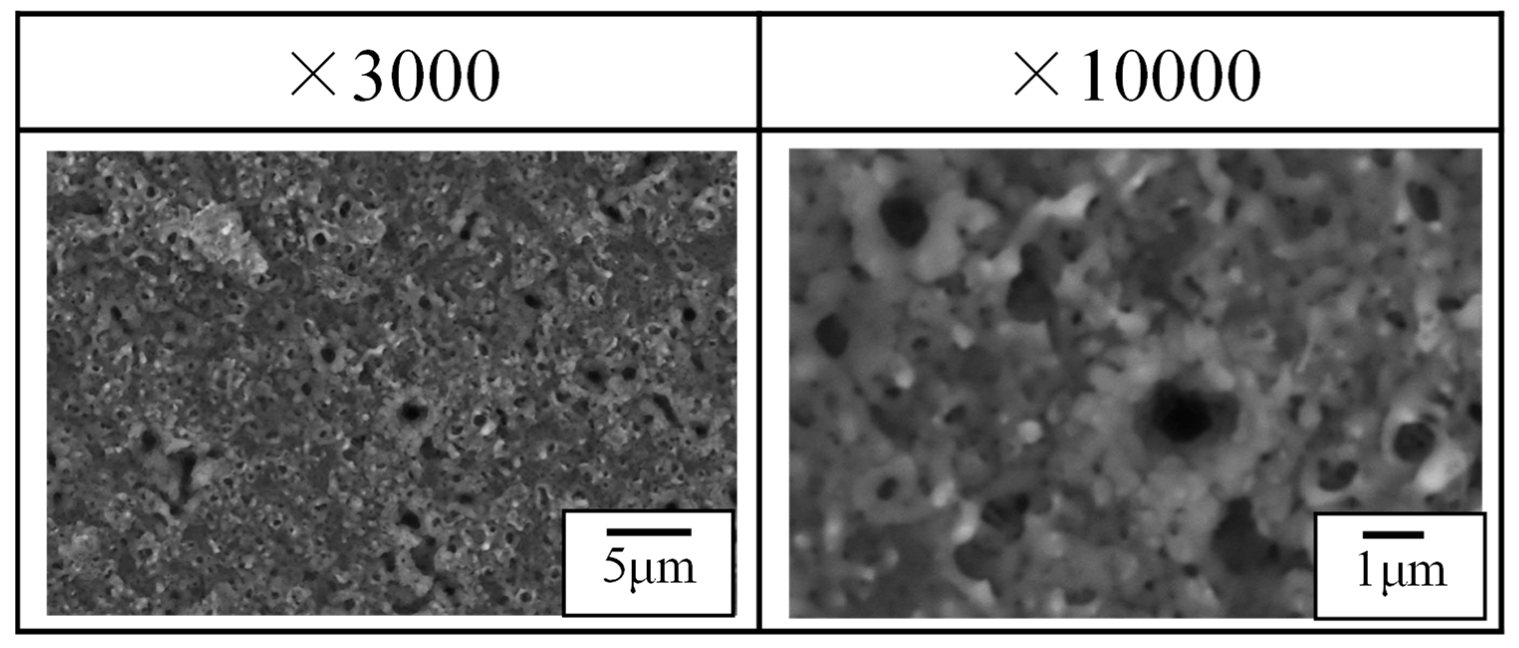 Materials 16 00360 g010