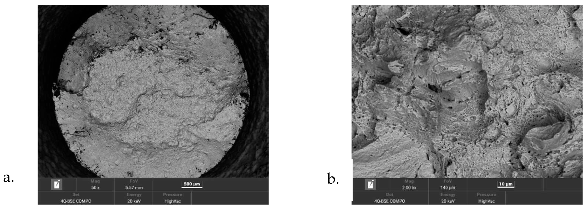 Materials 16 00365 g005a