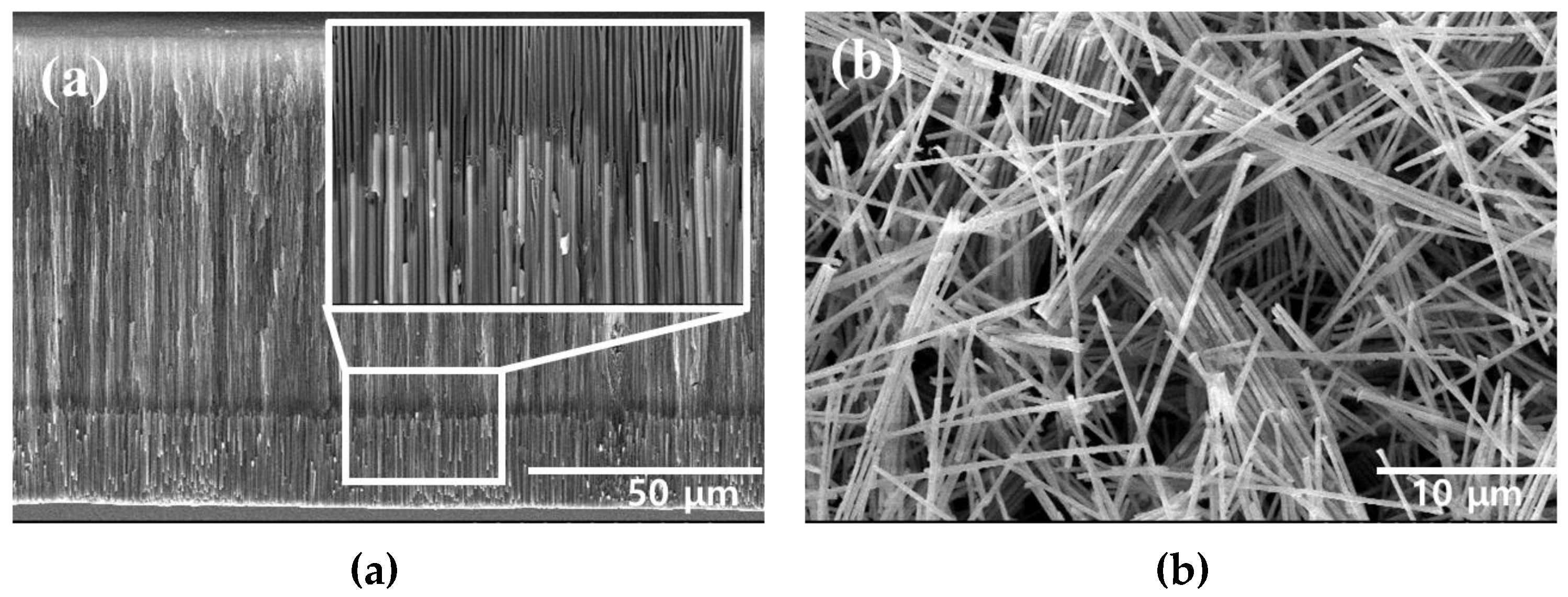 Materials 16 00381 g002