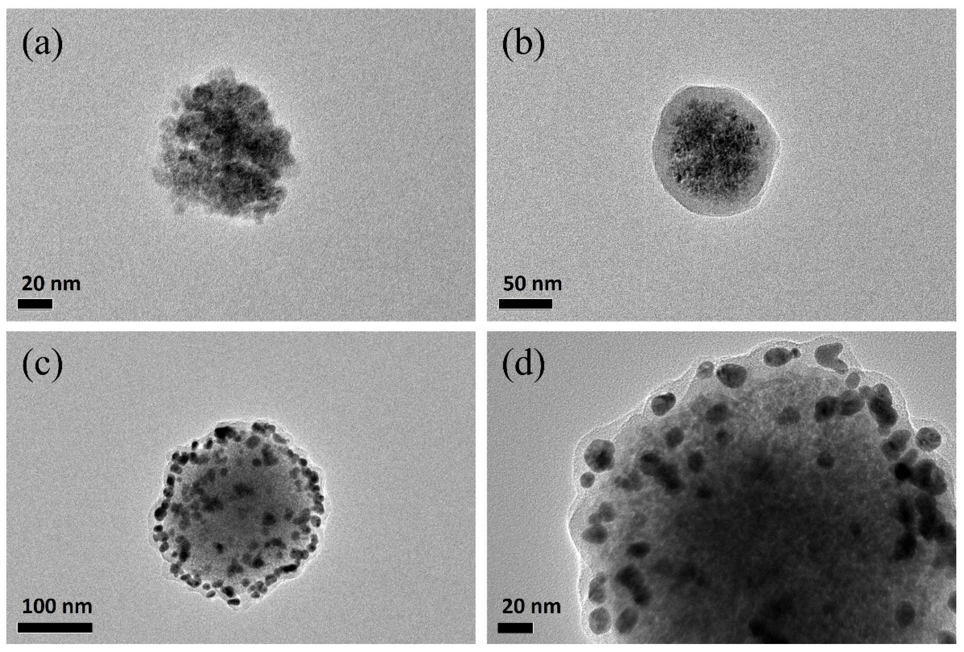 Materials 16 00387 g004 Materials 16 00387 g004