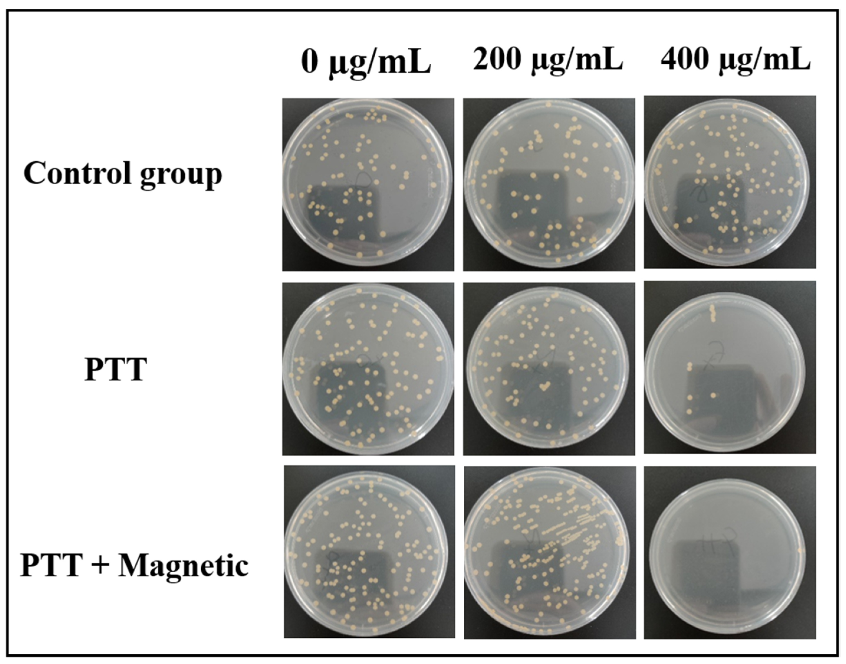 Materials 16 00387 g010 Materials 16 00387 g010