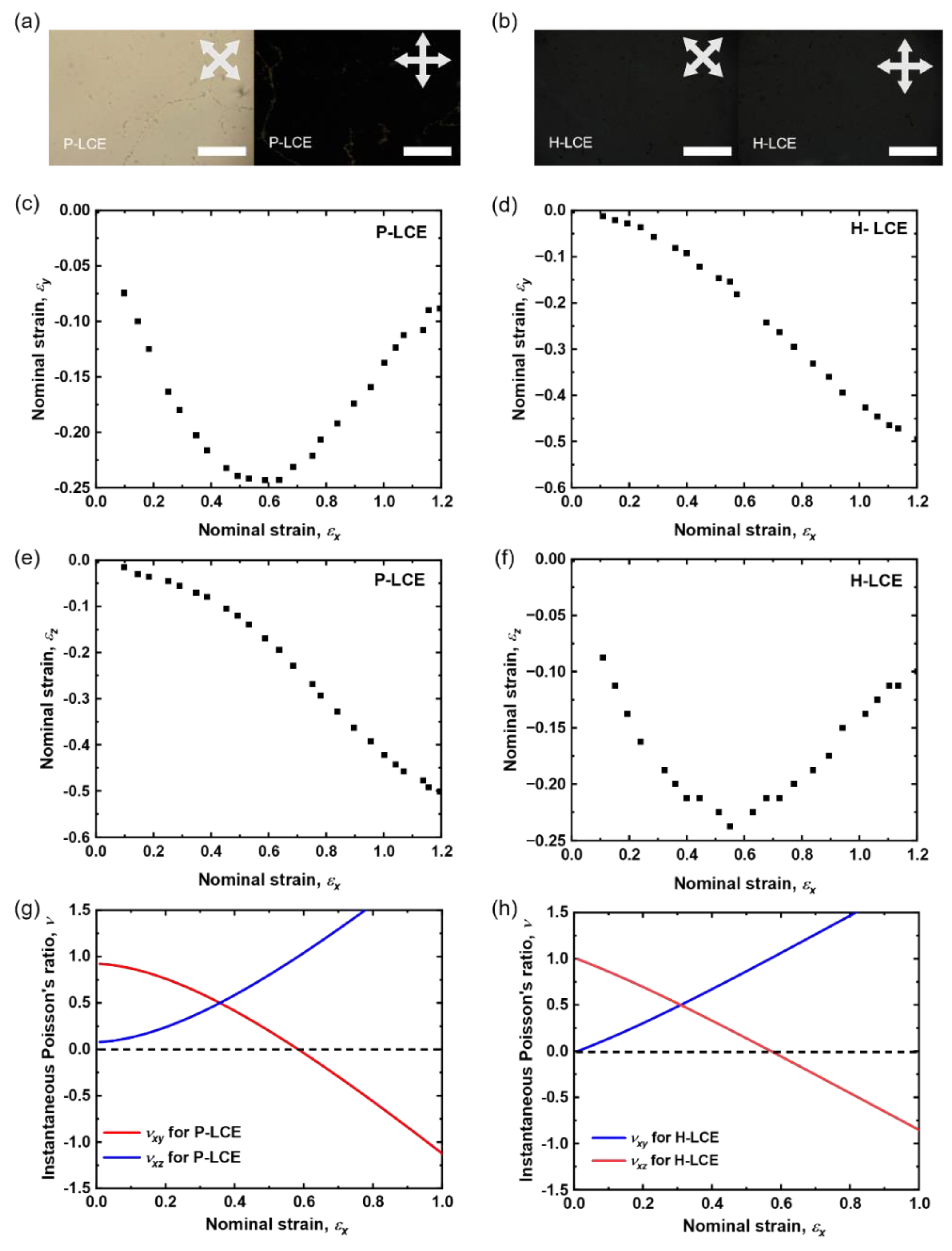 Materials 16 00393 g003