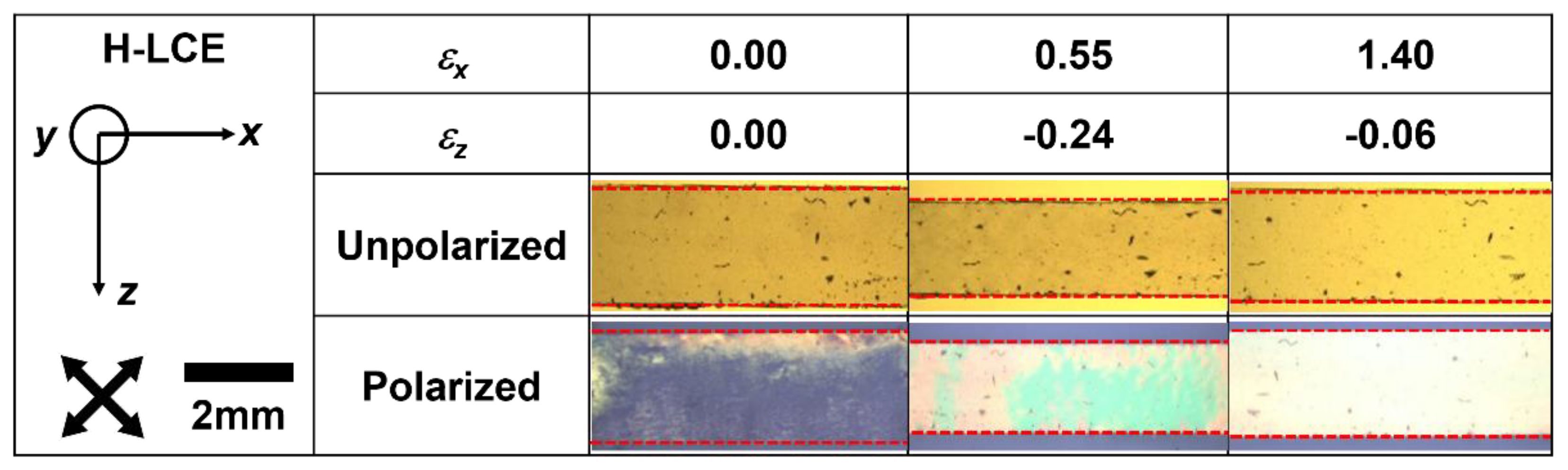 Materials 16 00393 g004