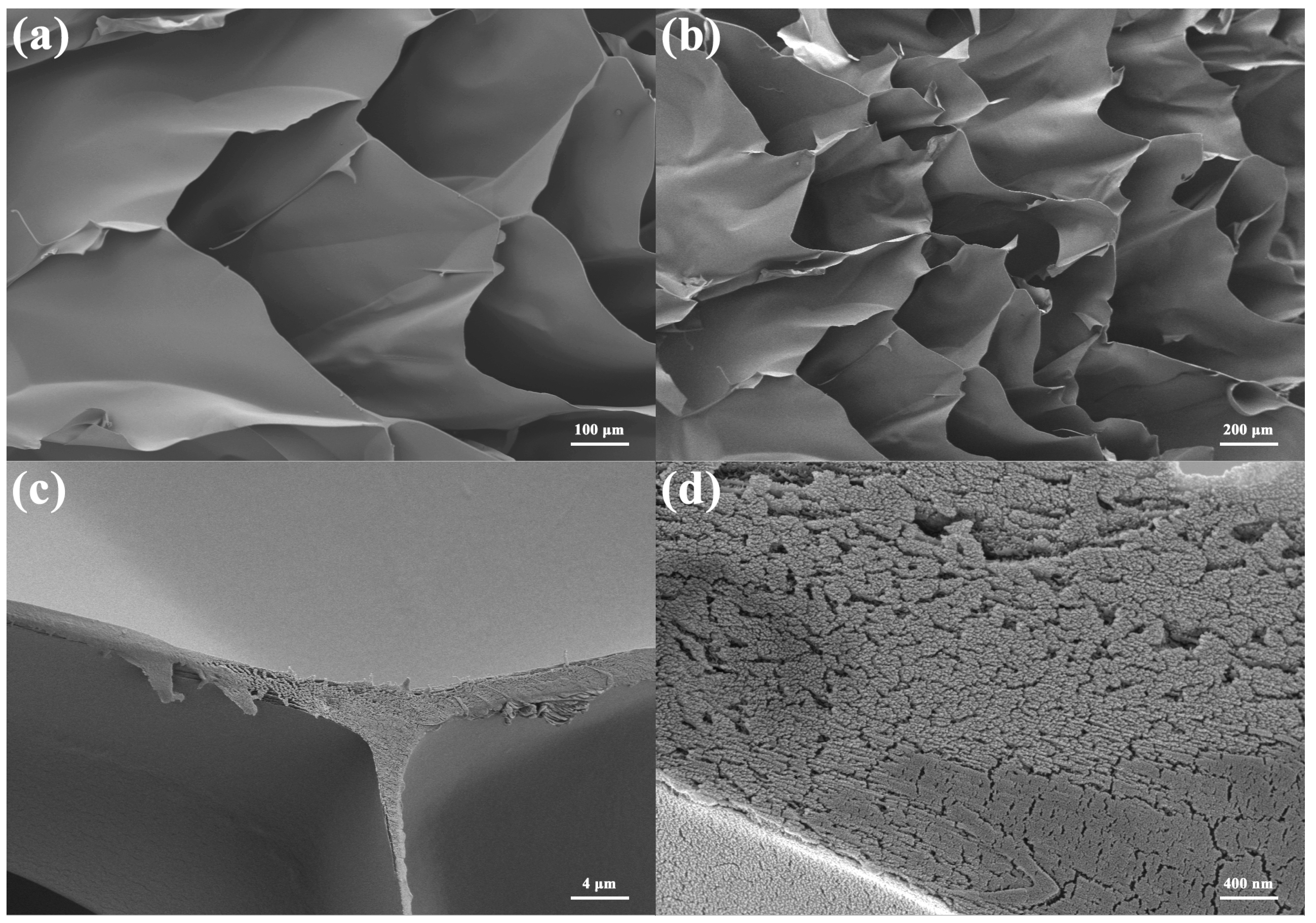 Materials 16 00411 g002 Materials 16 00411 g002