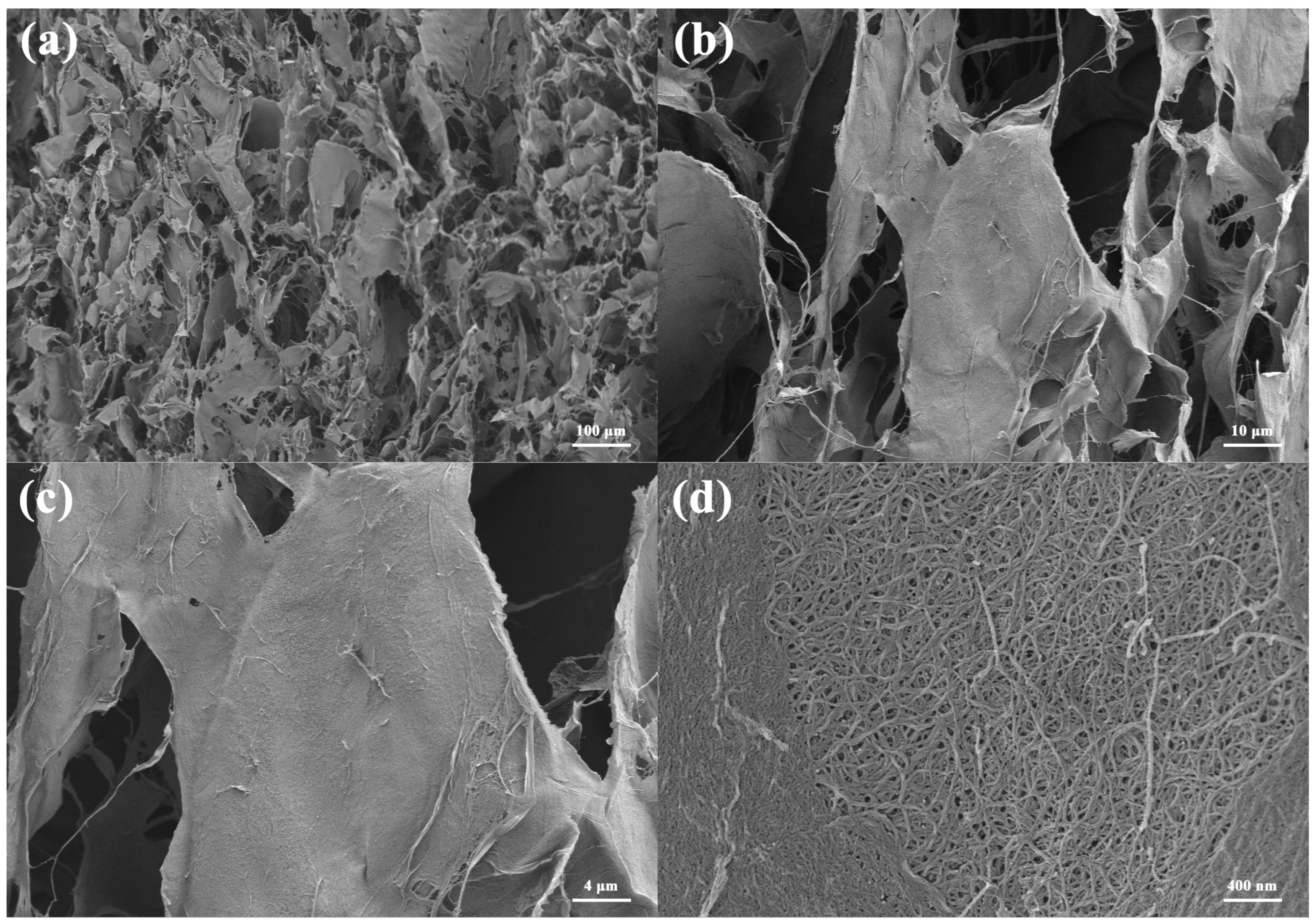Materials 16 00411 g003 Materials 16 00411 g003