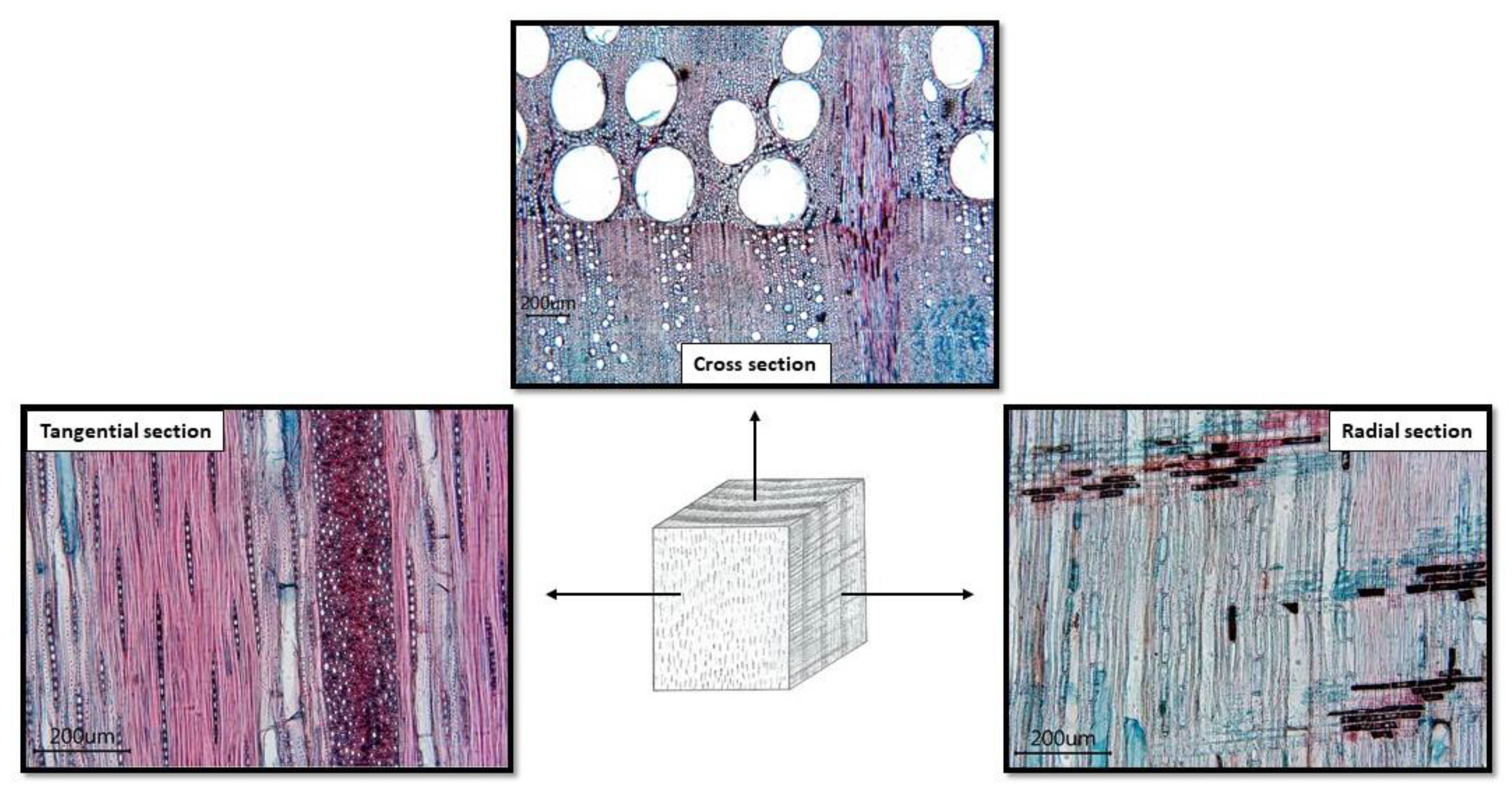 Materials 16 00432 g002