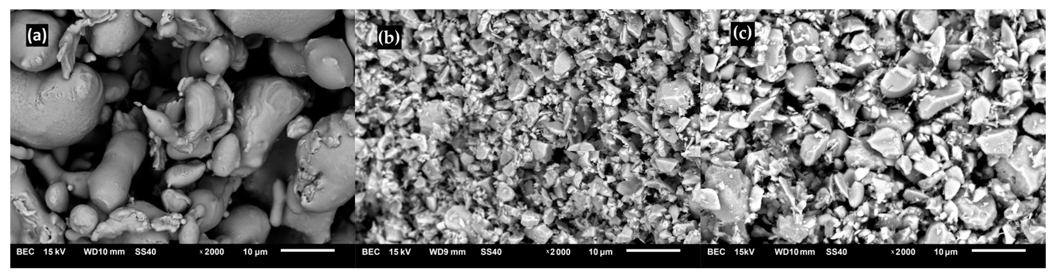 Materials 16 00439 g001 Materials 16 00439 g001