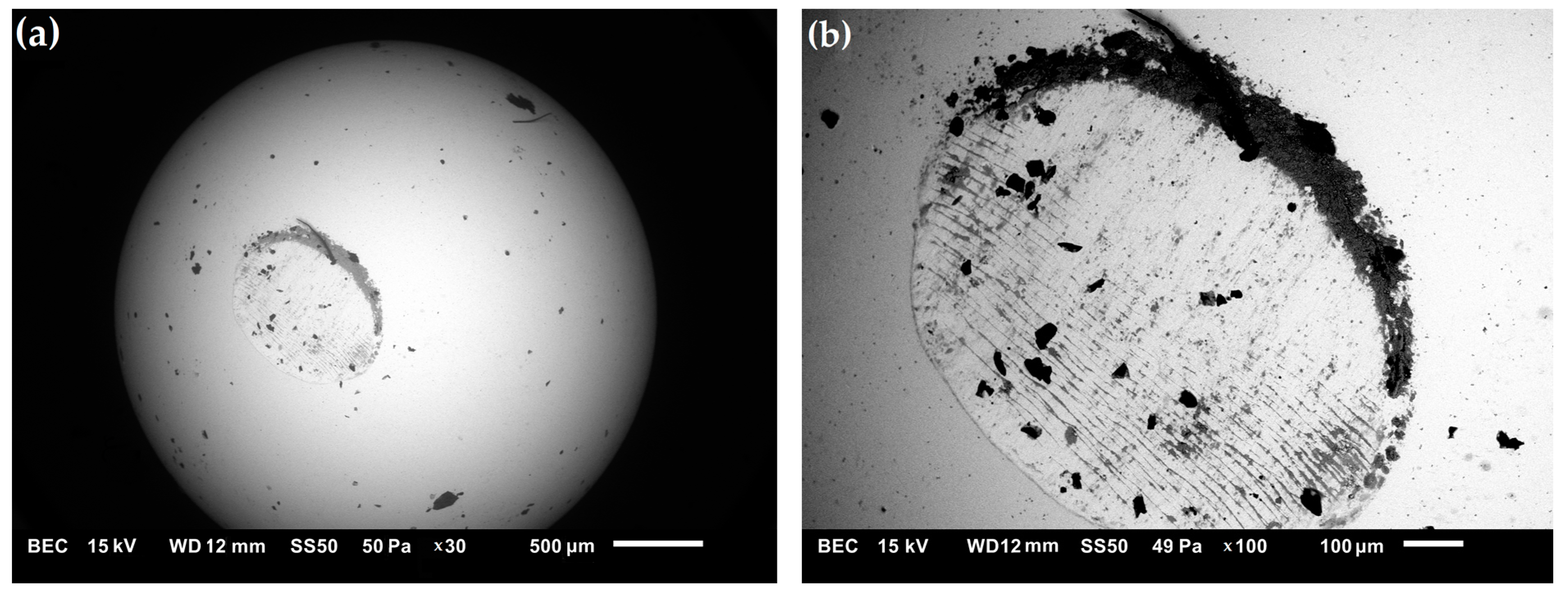 Materials 16 00439 g013 Materials 16 00439 g013