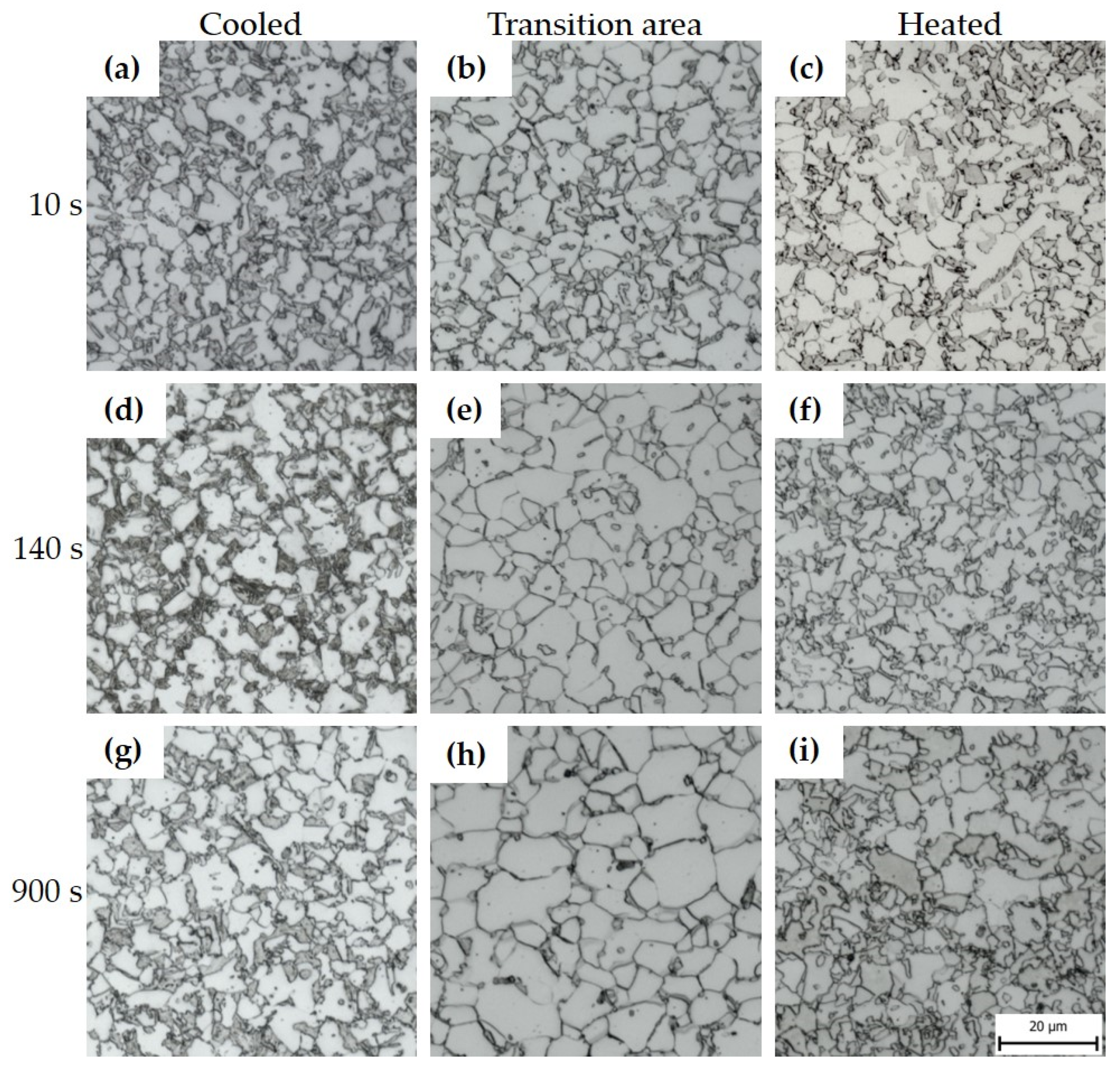 Materials 16 00442 g010