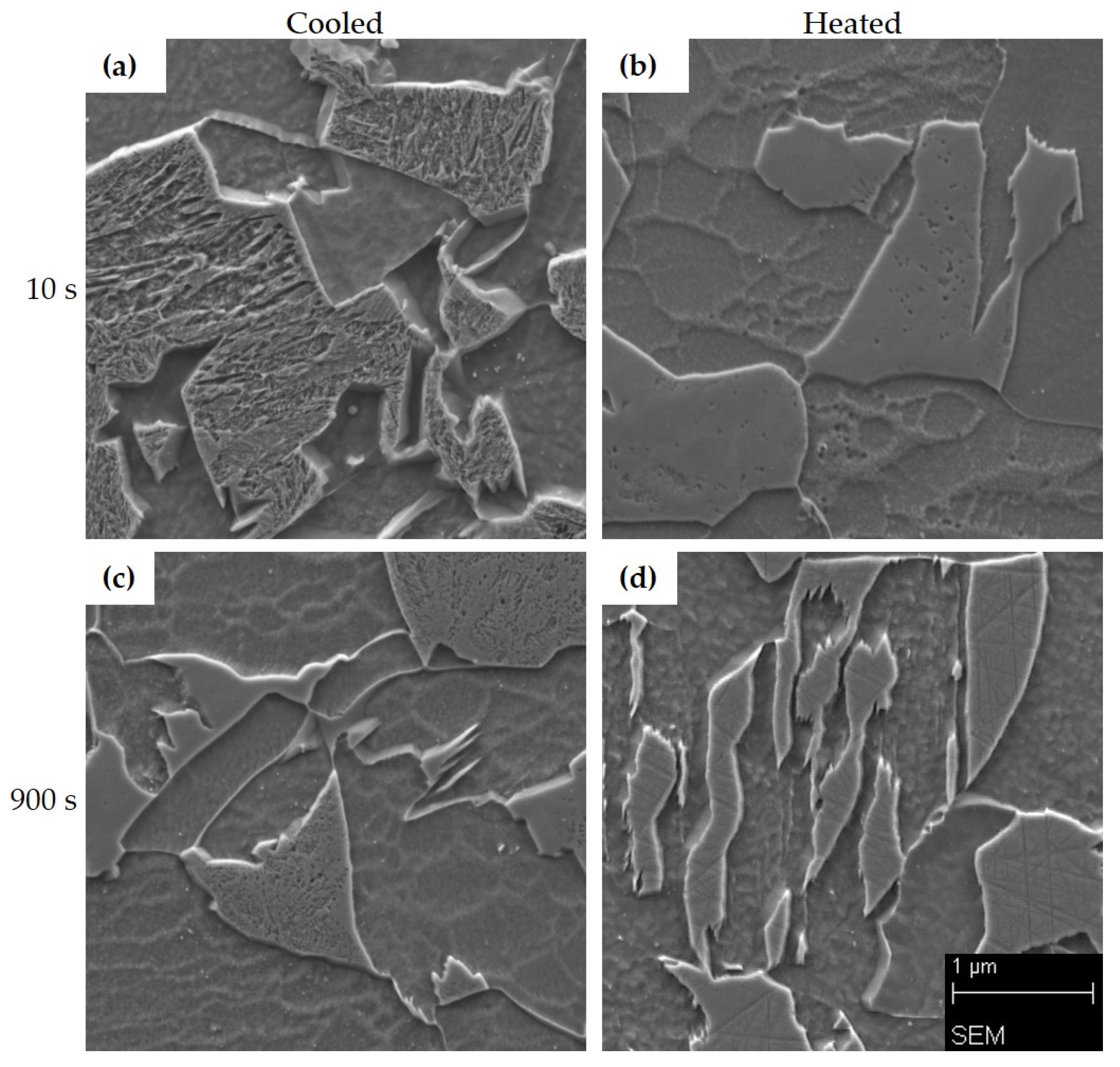 Materials 16 00442 g011