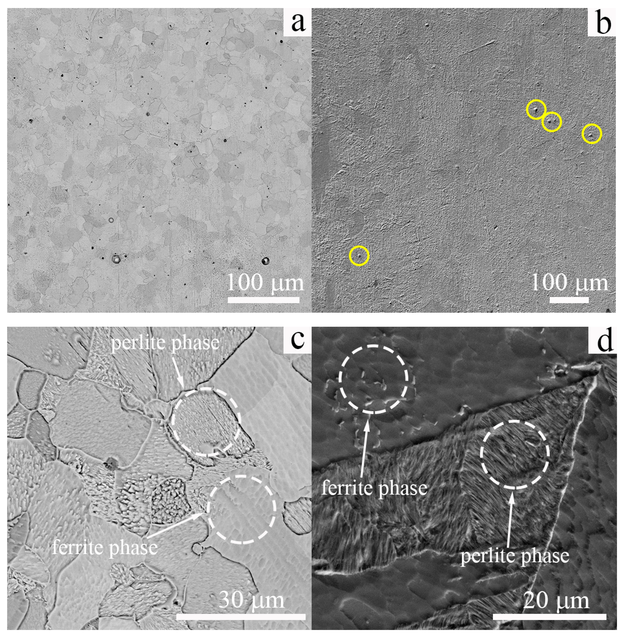 Materials 16 00446 g002