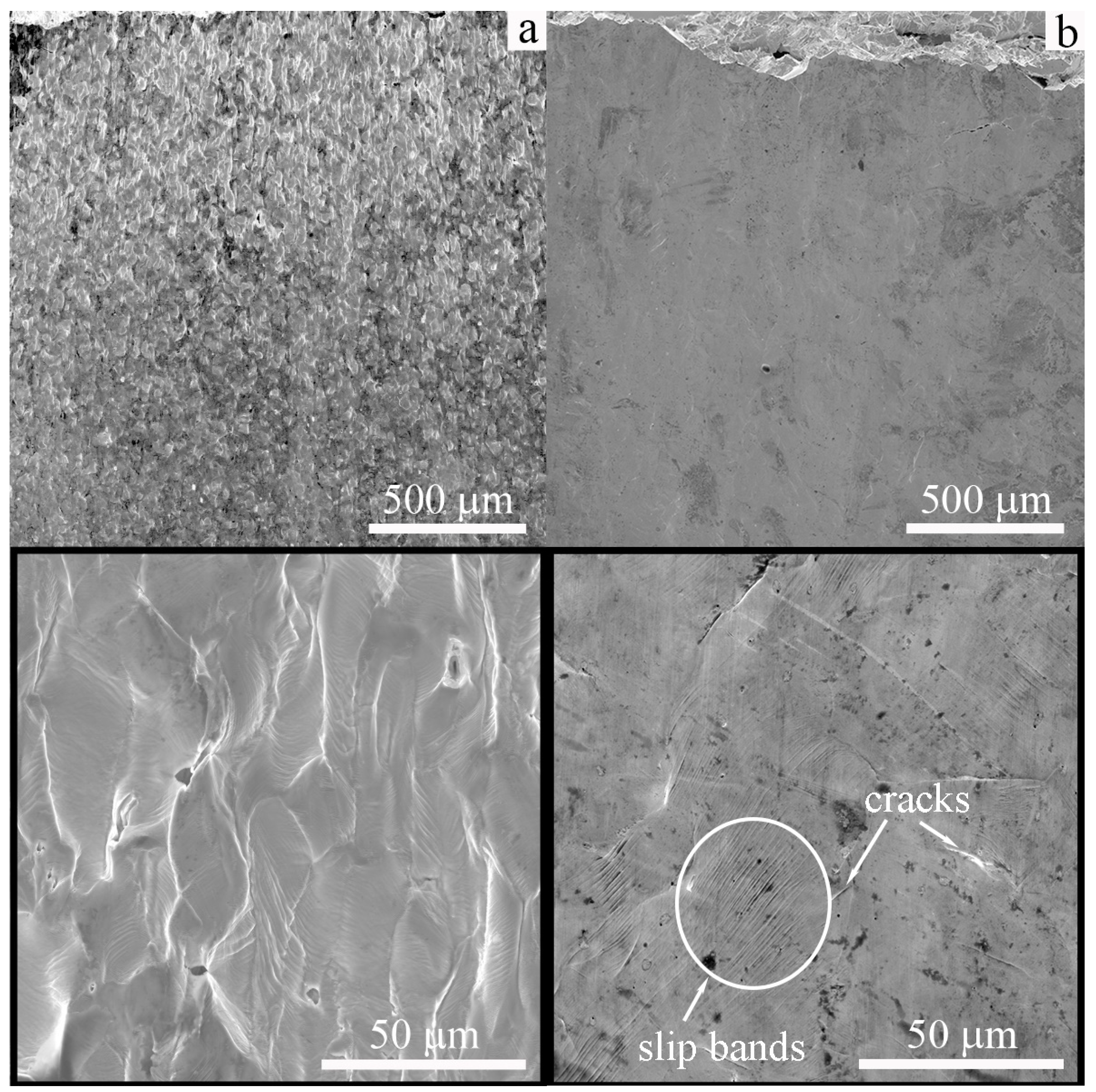 Materials 16 00446 g007