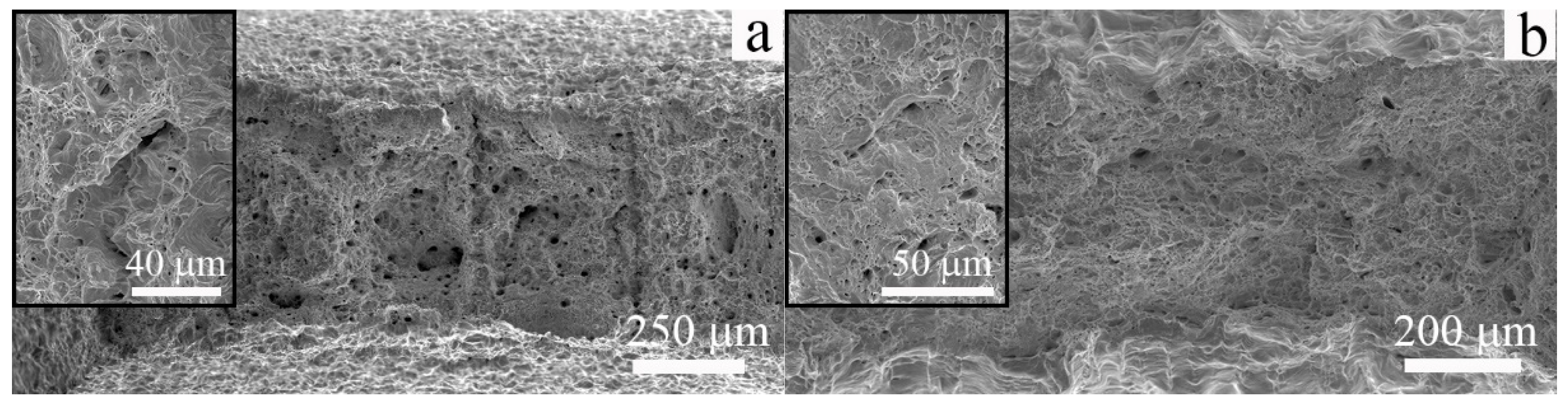 Materials 16 00446 g008