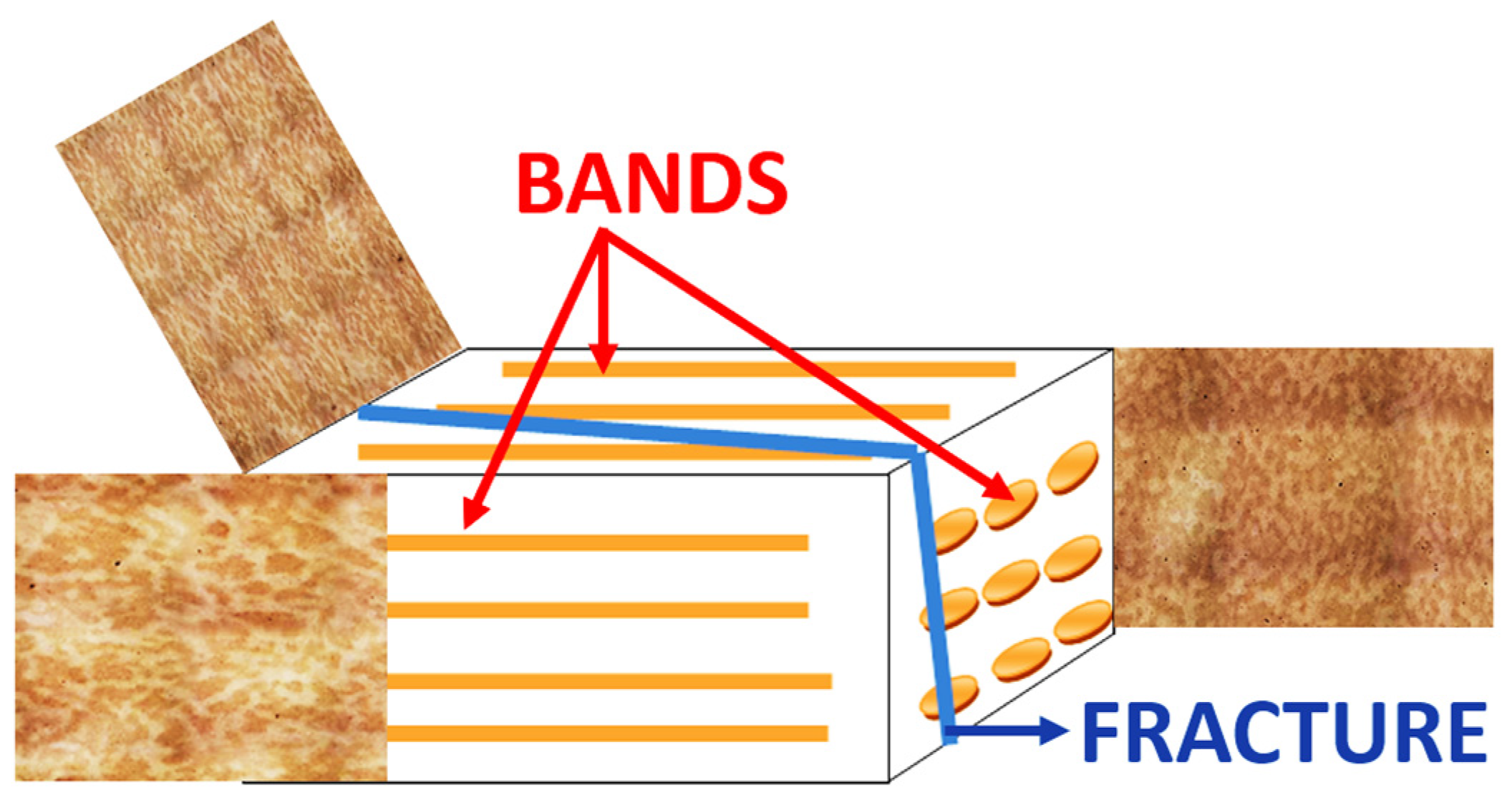Materials 16 00471 g004