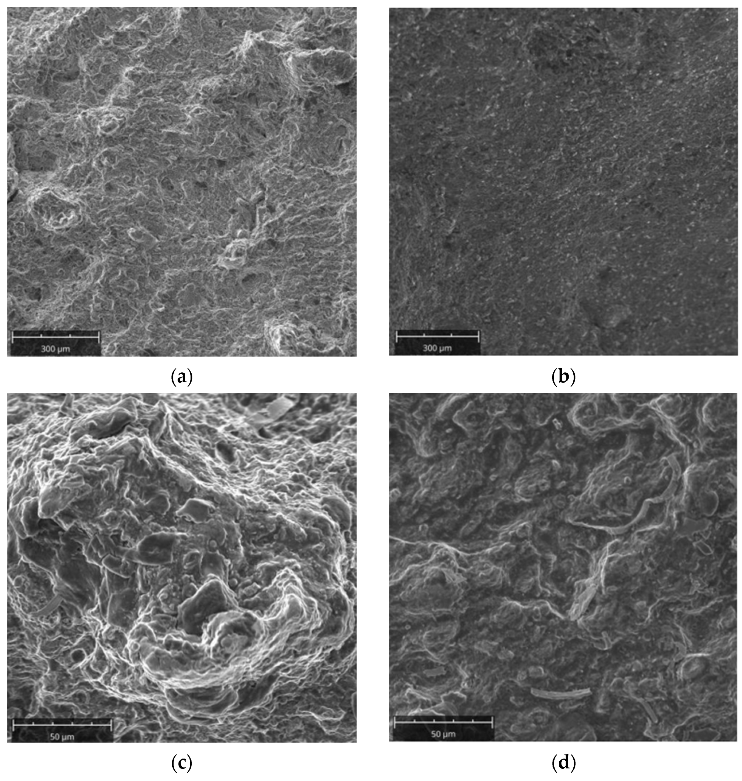 Materials 16 00471 g008