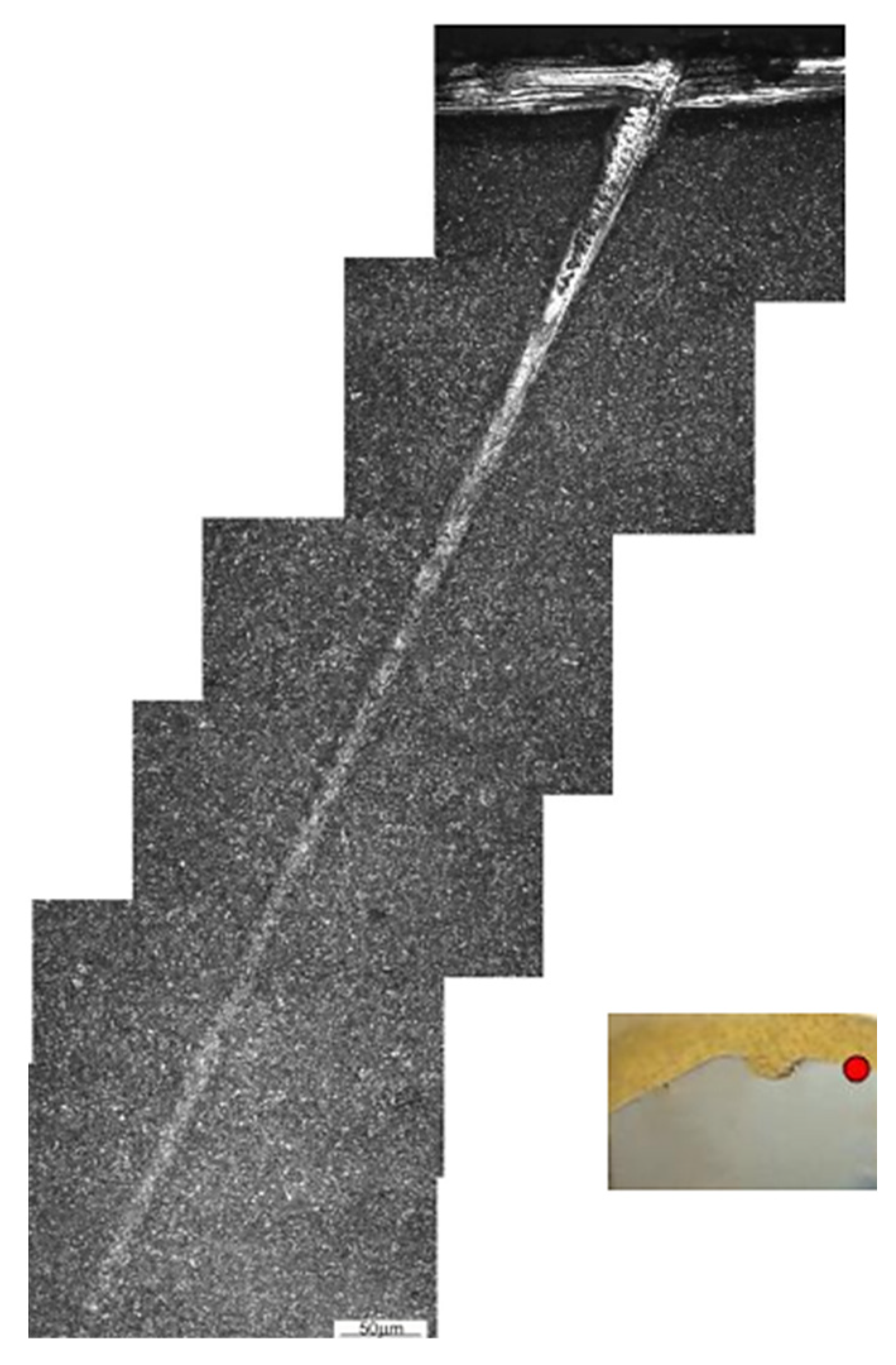 Materials 16 00471 g013