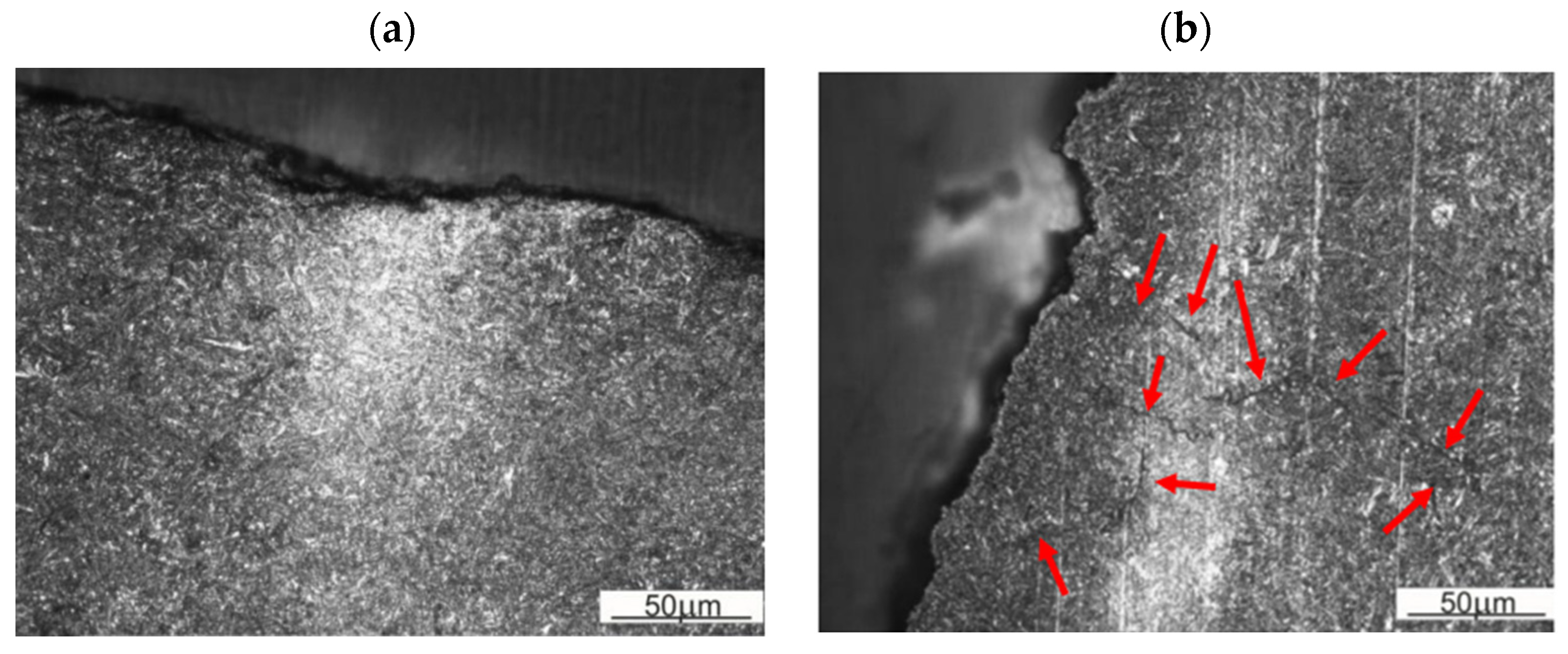 Materials 16 00471 g016