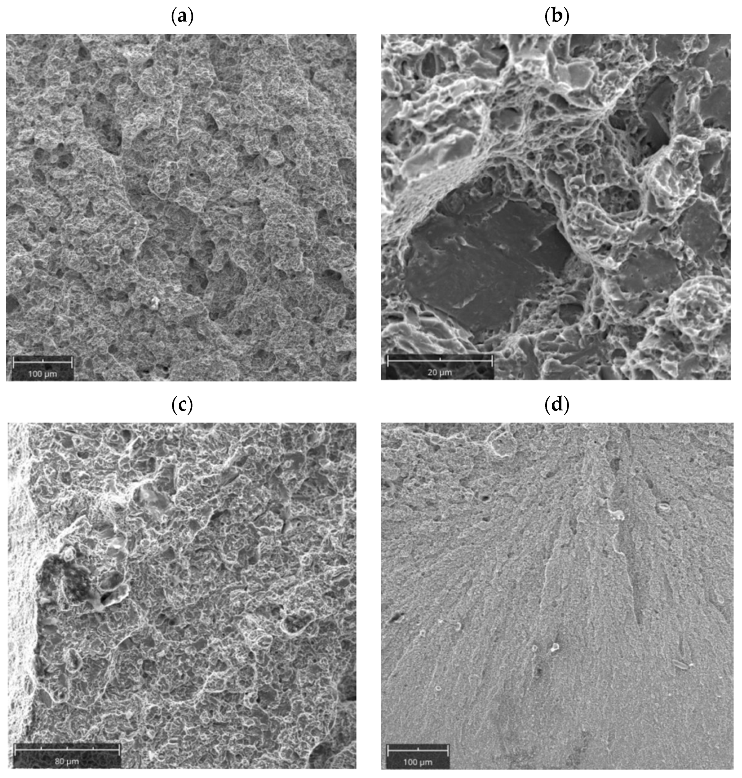 Materials 16 00471 g017