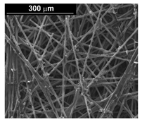 Materials 16 00474 i001