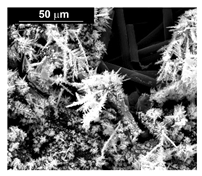 Materials 16 00474 i004