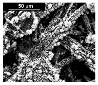 Materials 16 00474 i007