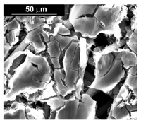 Materials 16 00474 i009