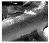 Materials 16 00474 i012