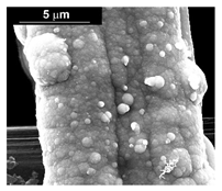 Materials 16 00474 i016