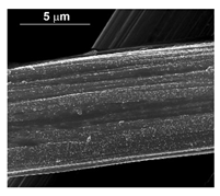 Materials 16 00474 i019