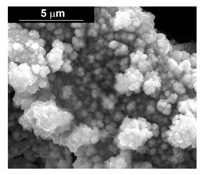 Materials 16 00474 i024