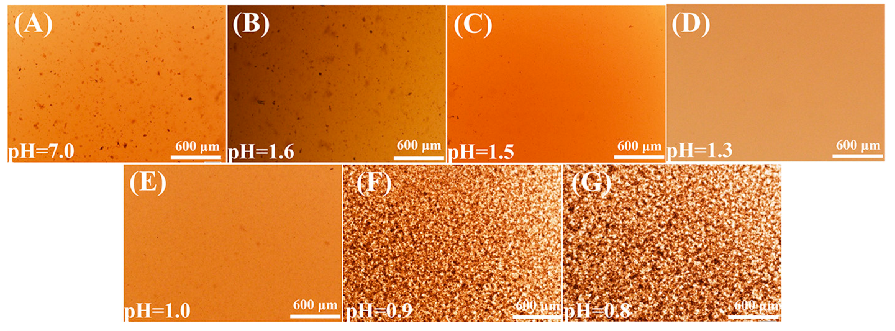 Materials 16 00476 g007