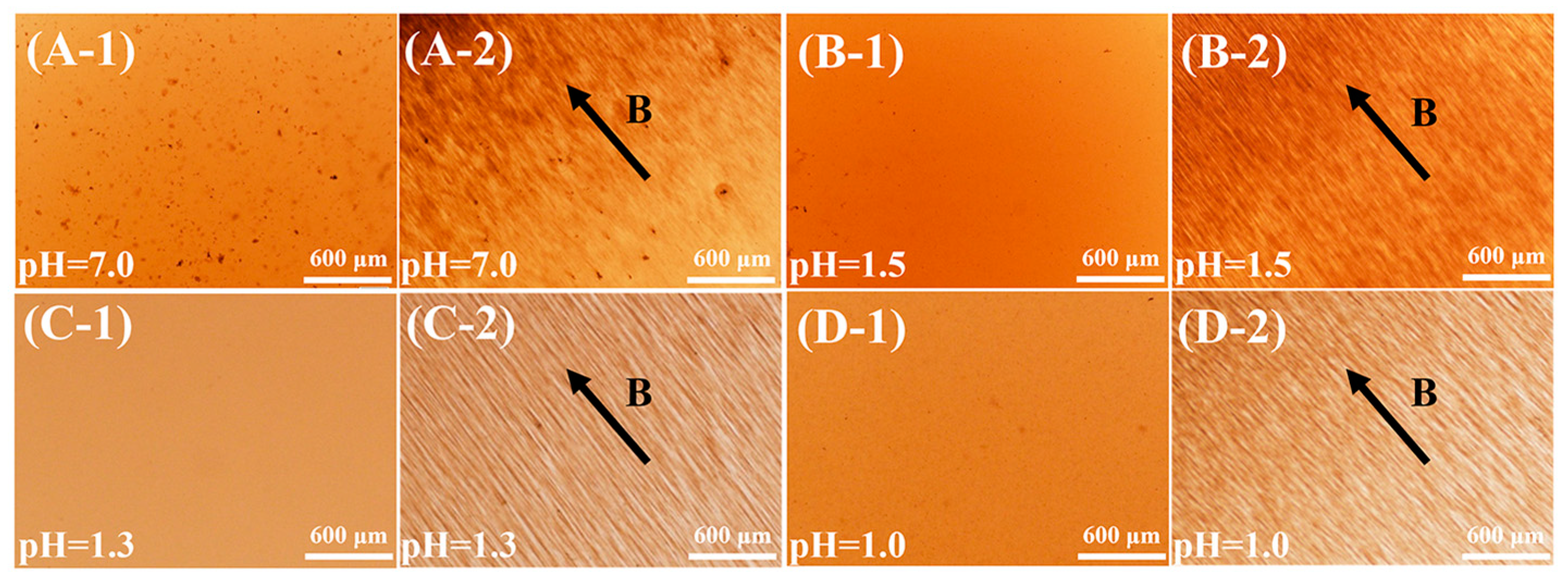 Materials 16 00476 g008