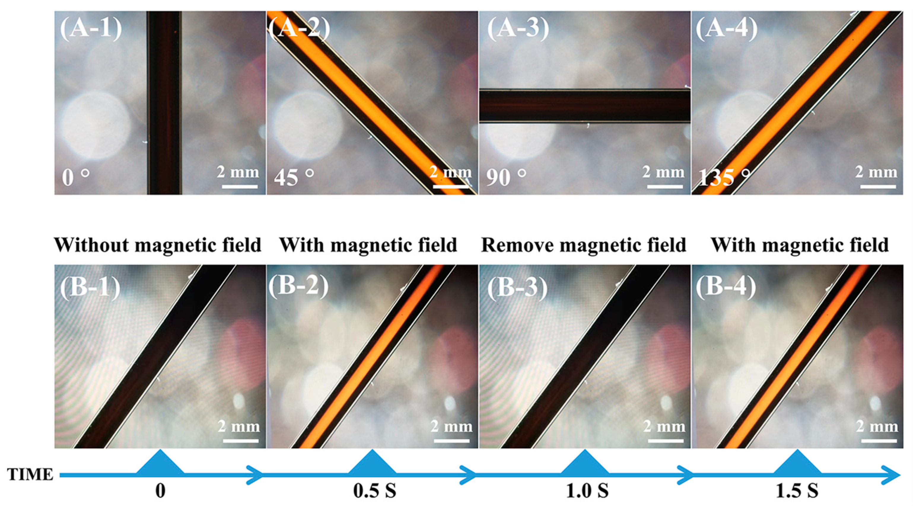 Materials 16 00476 g011