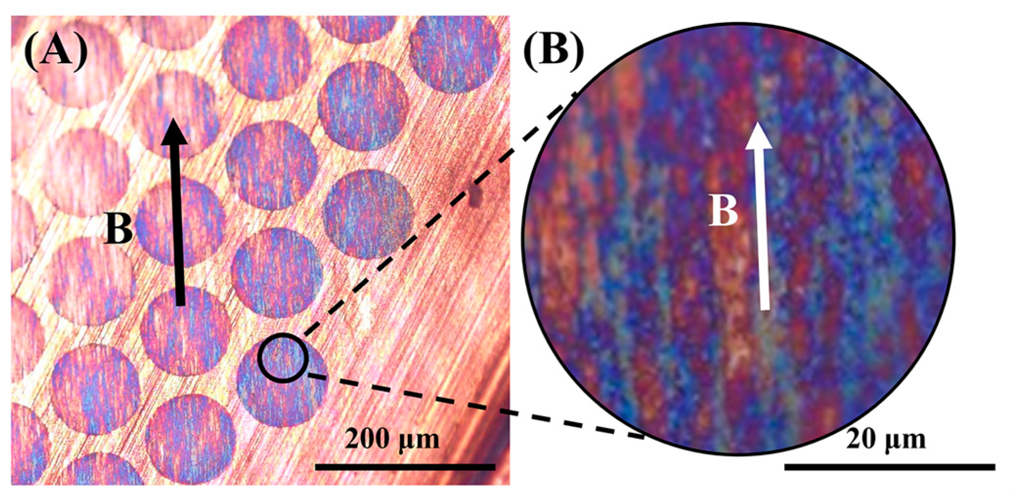 Materials 16 00476 g016