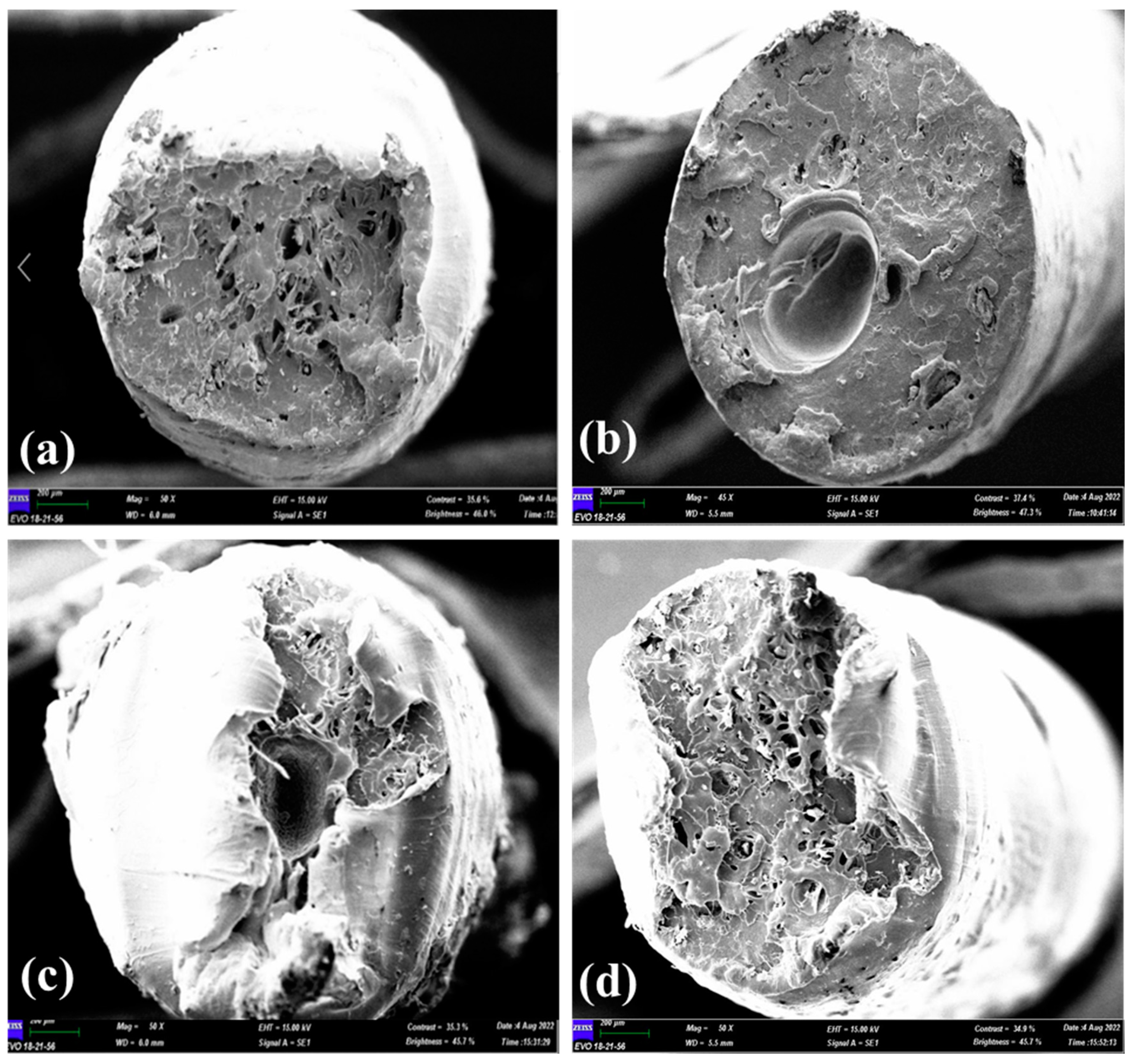 Materials 16 00479 g015