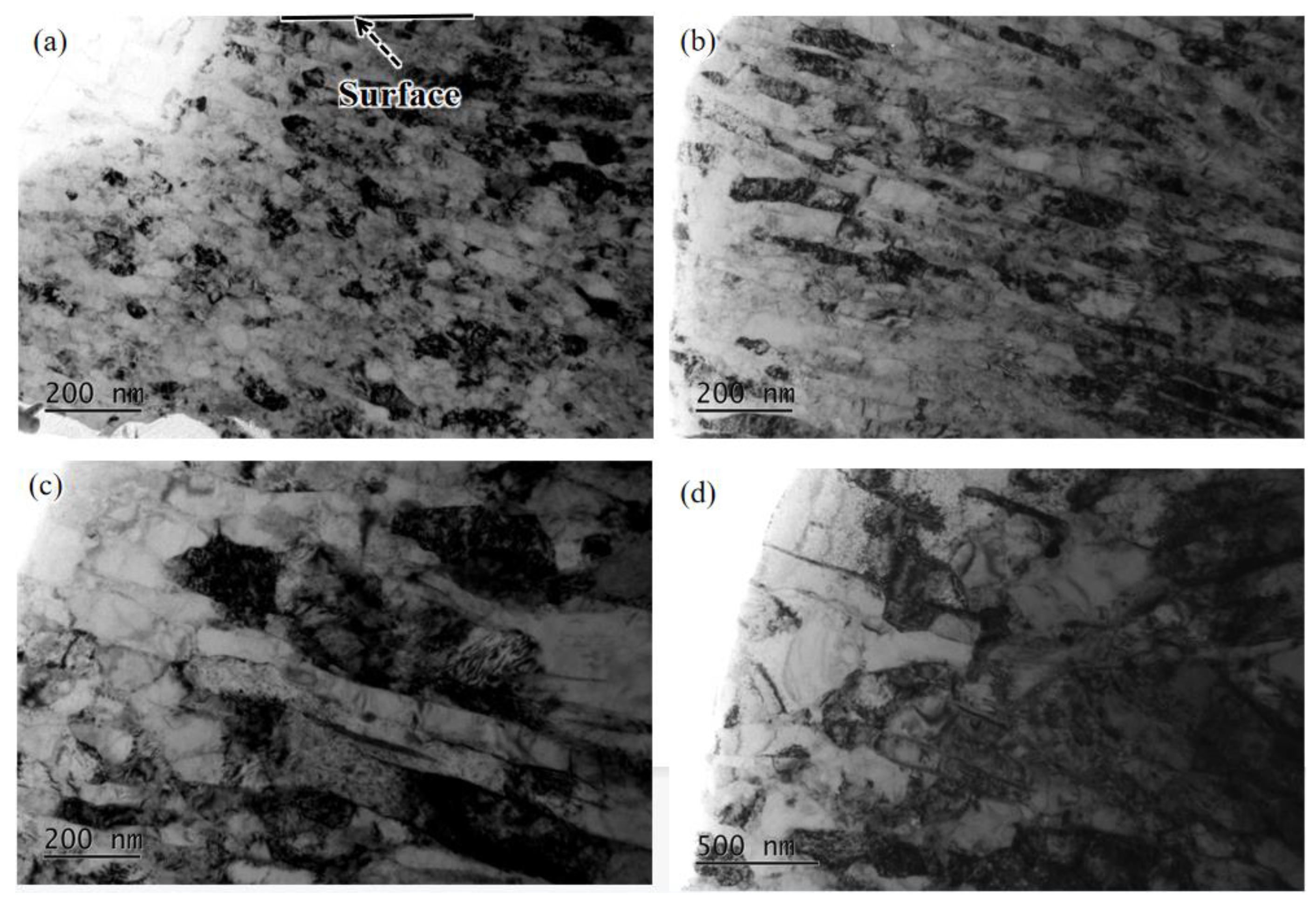 Materials 16 00485 g010