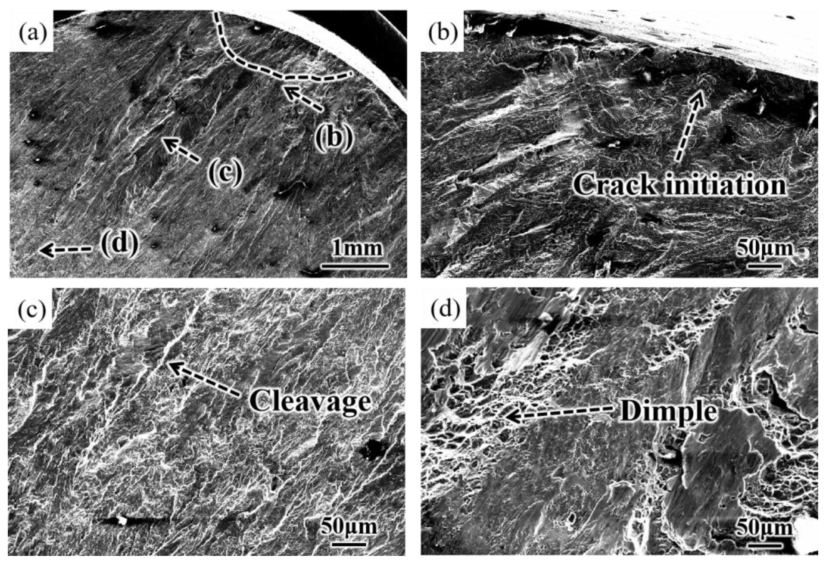 Materials 16 00485 g013