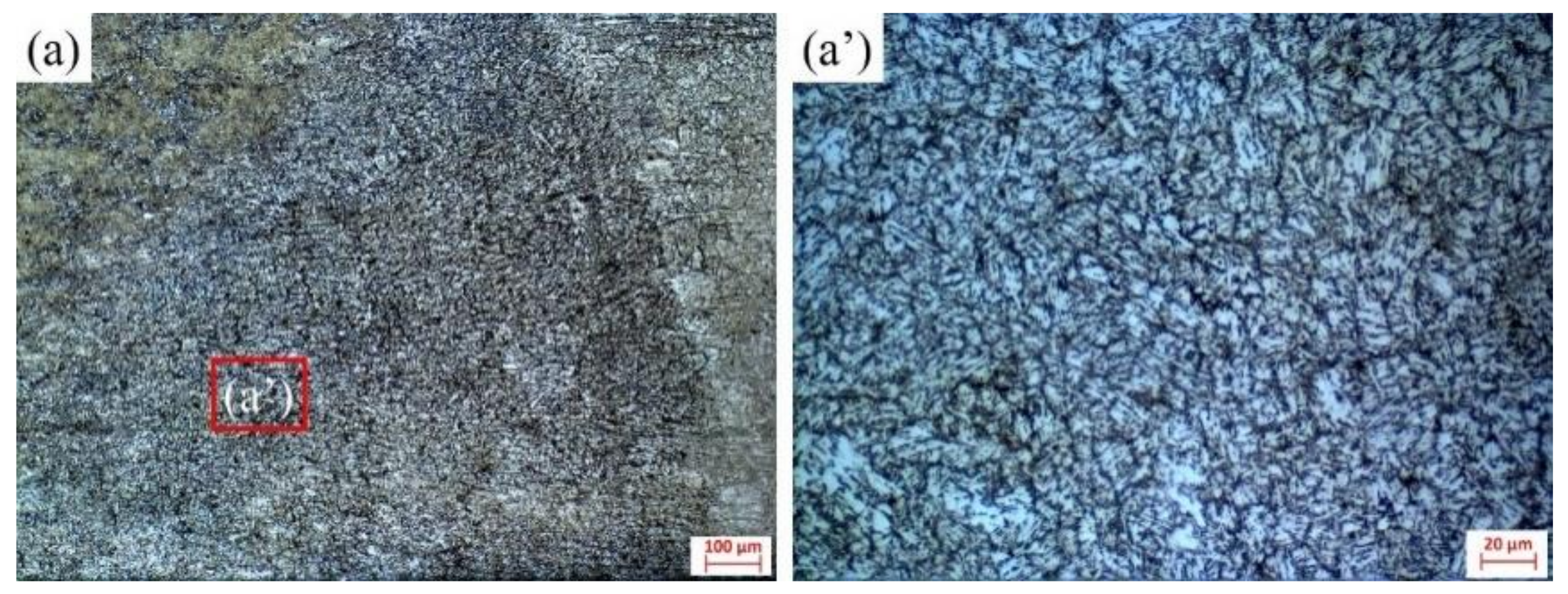 Materials 16 00502 g013a