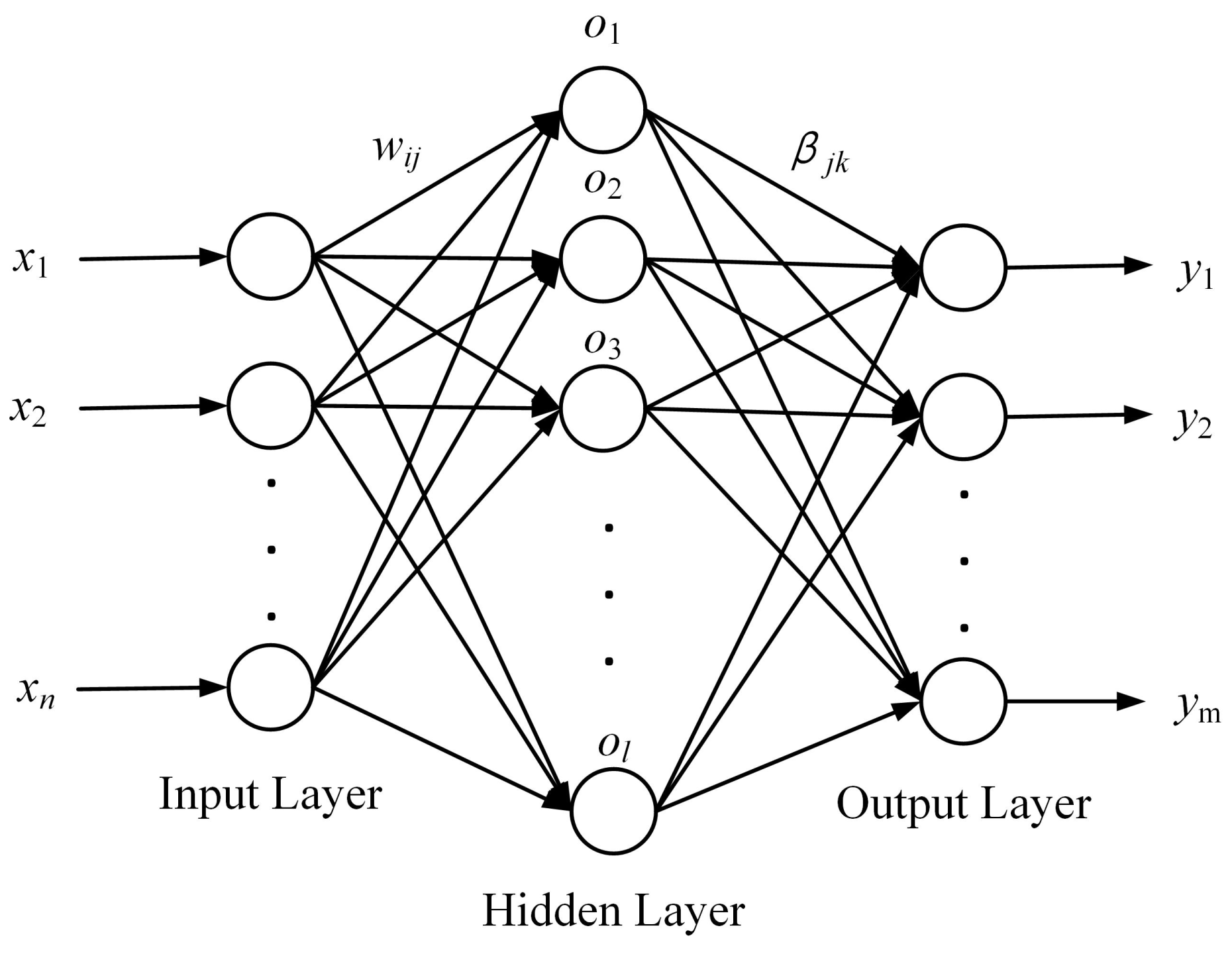 Materials 16 00505 g005