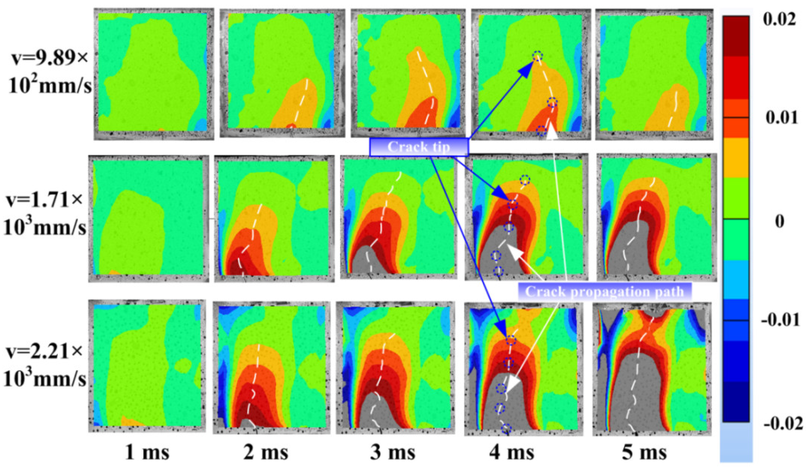 Materials 16 00507 g010