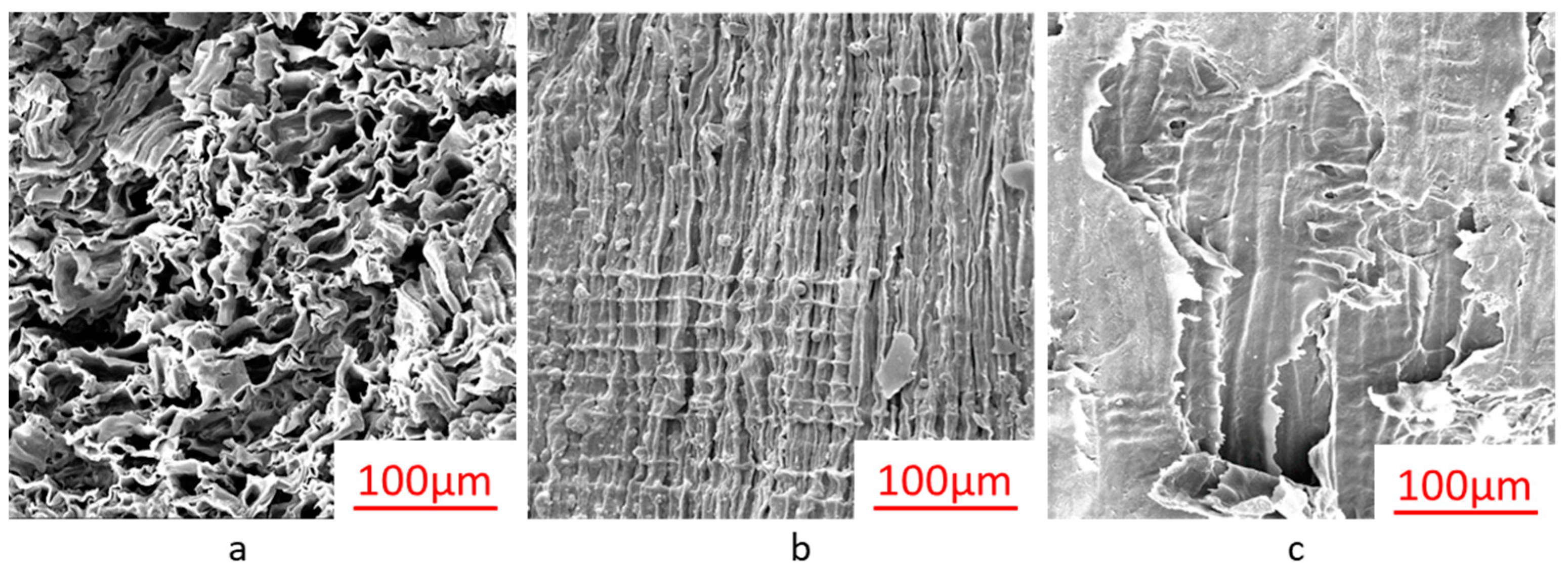 Materials 16 00510 g004