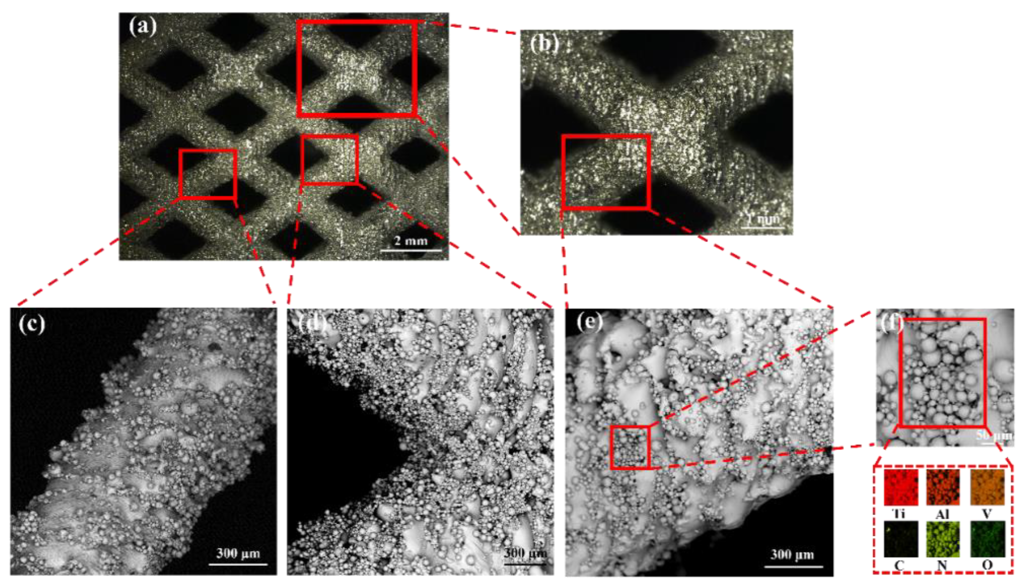 Materials 16 00520 g003
