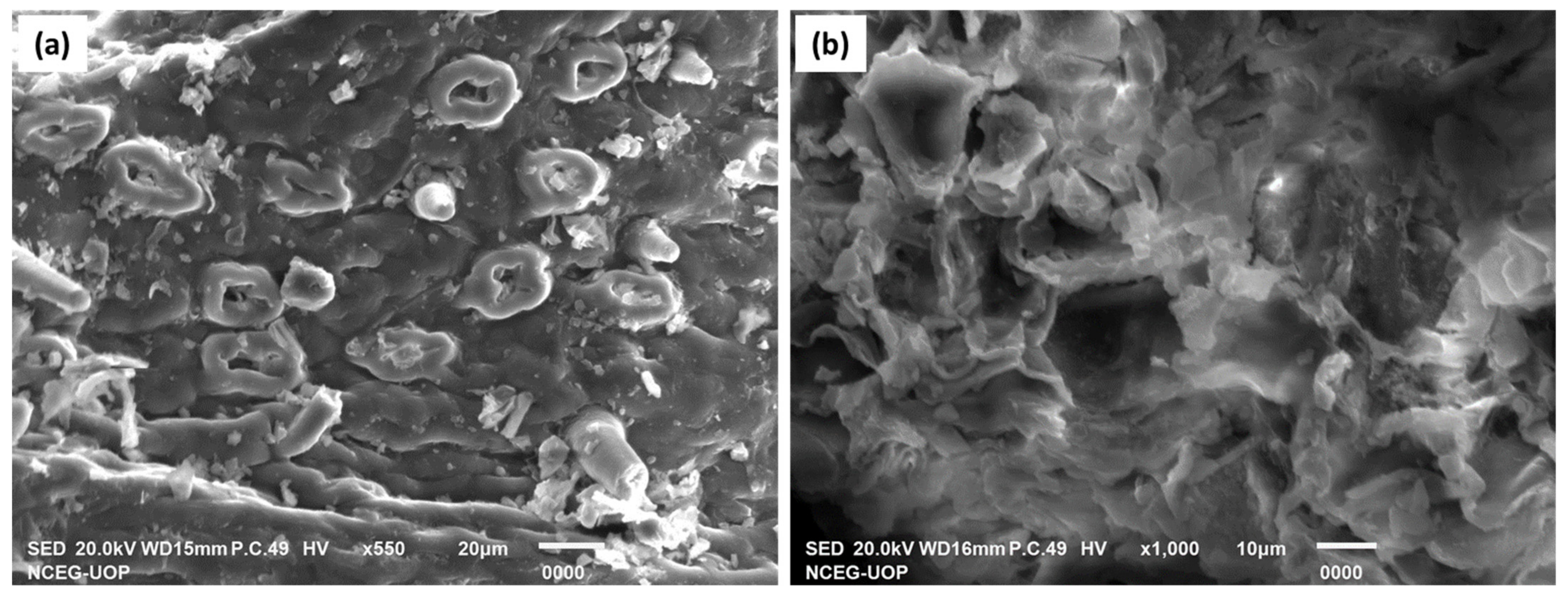 Materials 16 00521 g011 Materials 16 00521 g011