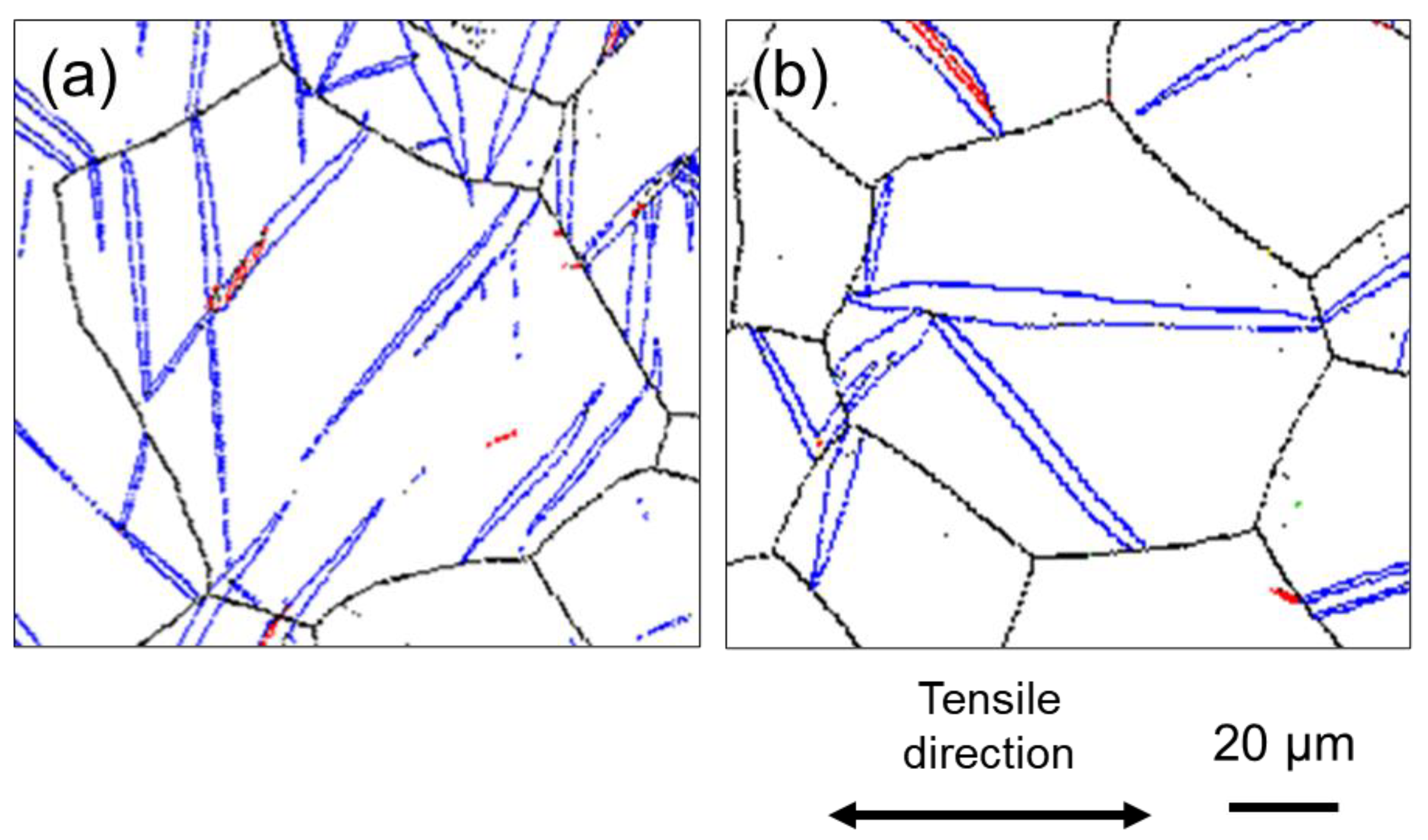 Materials 16 00529 g007 Materials 16 00529 g007